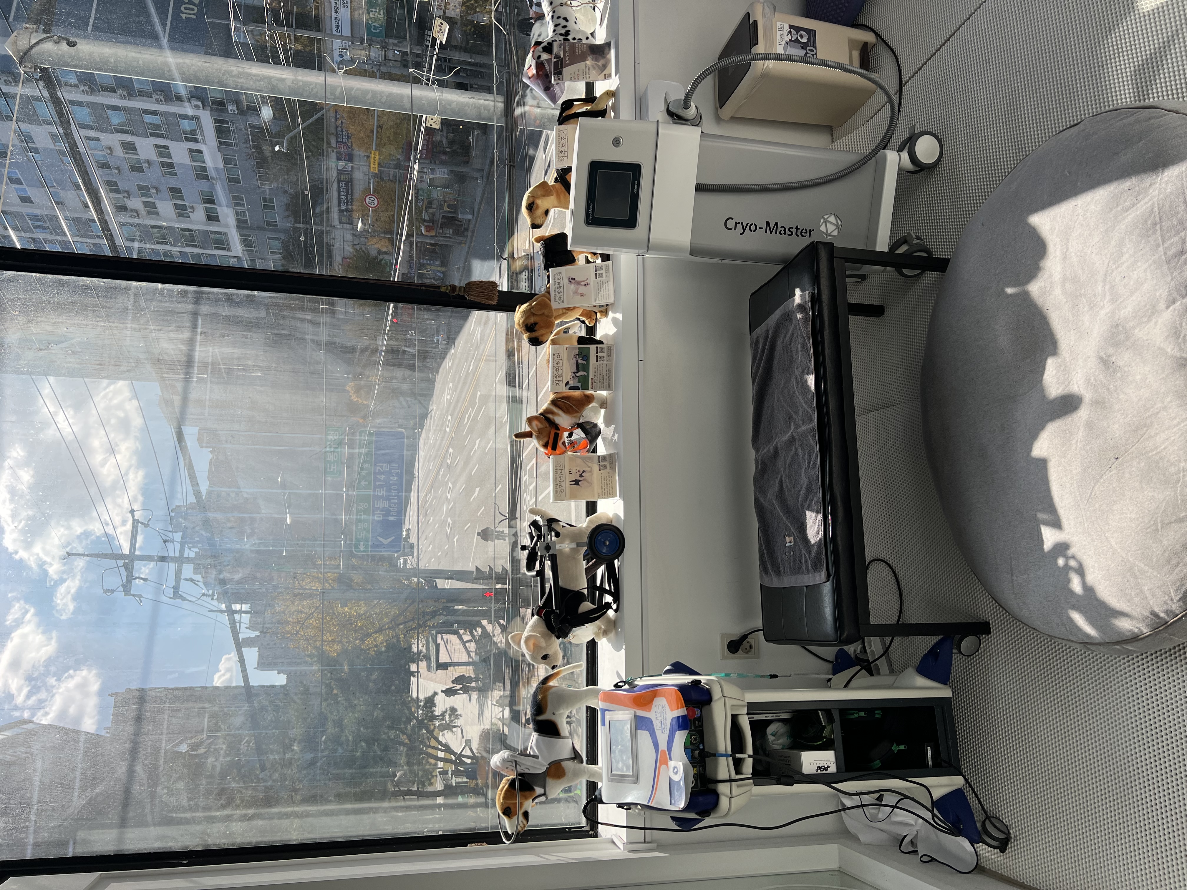 김미경동물병원 대표 이미지