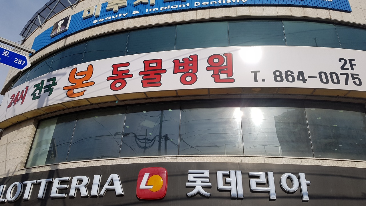 24시건국본동물병원