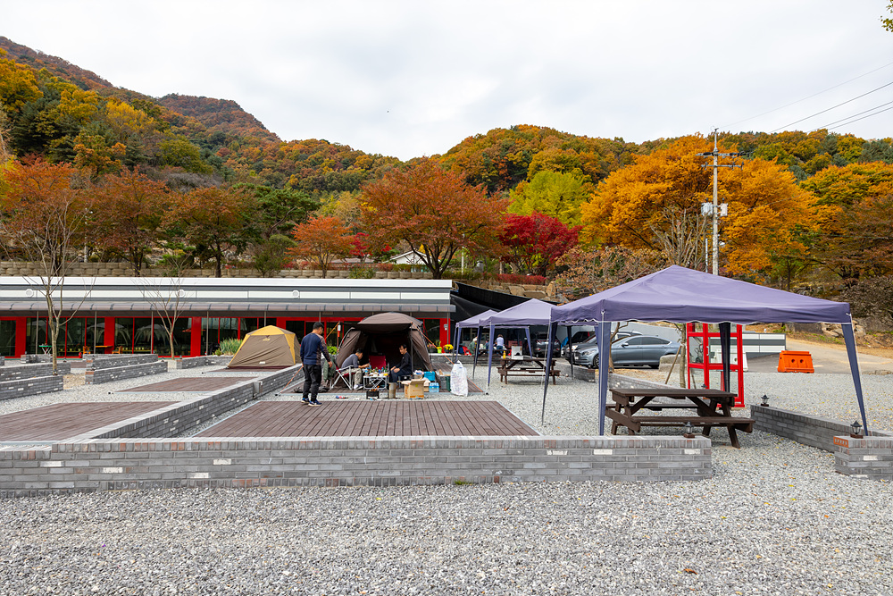 캠핑장 사진