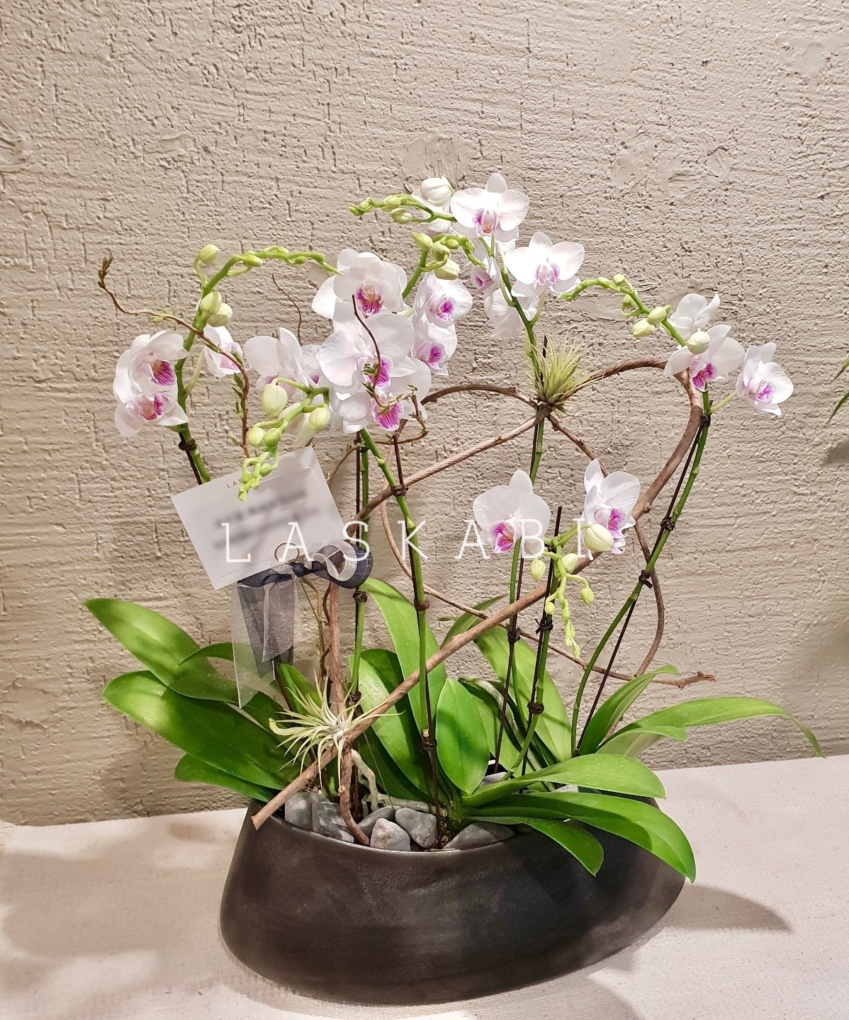 라스카비 플라워
