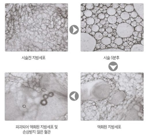 더 클래스 에스테틱