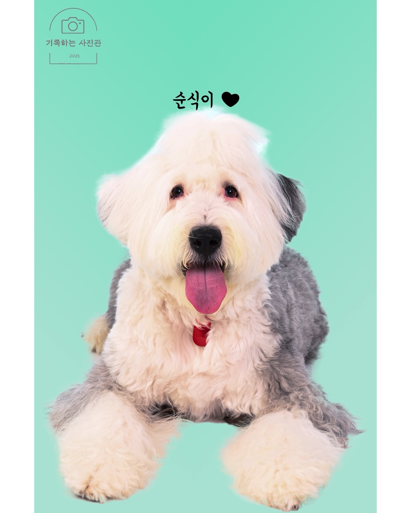 기록하는사진관