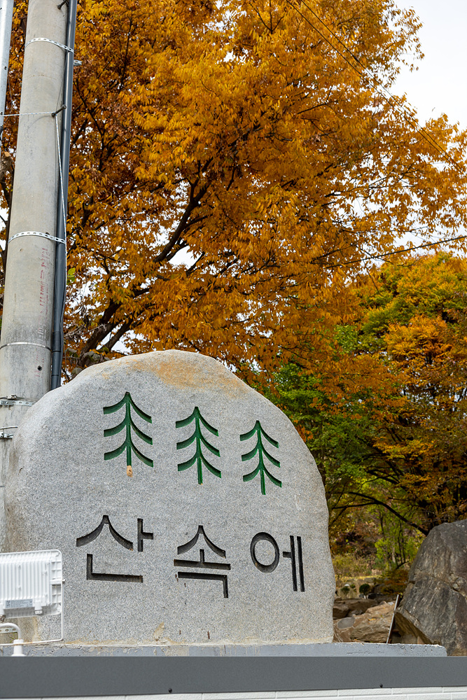 산속에 관광농원