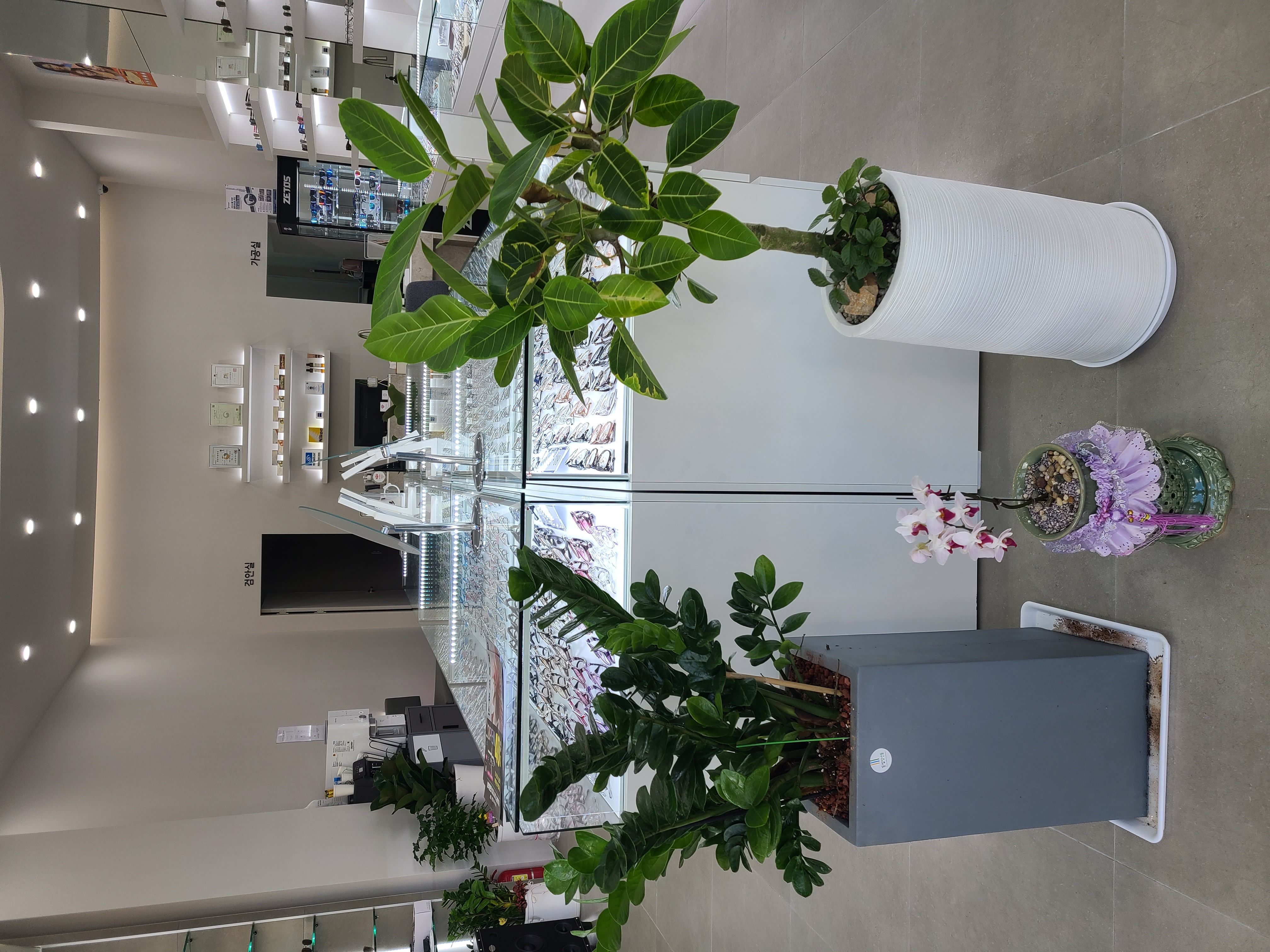 장 안경원 대표 이미지