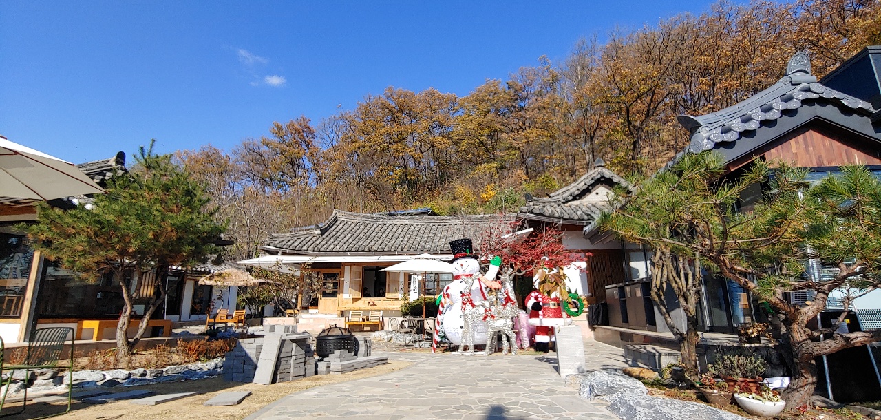 커피홀 베이커리 안동풍산점 경상 애견맛집
