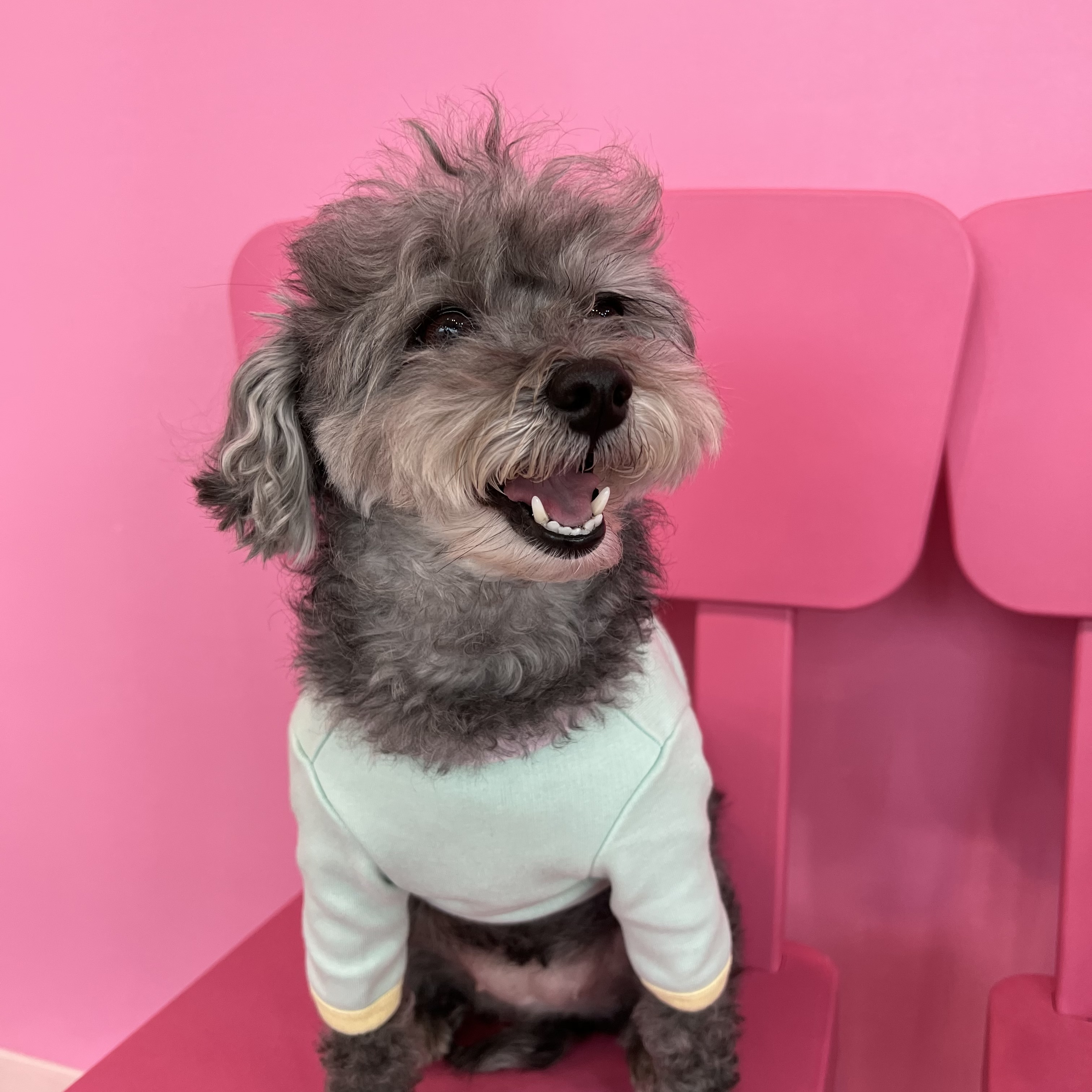 이미지
