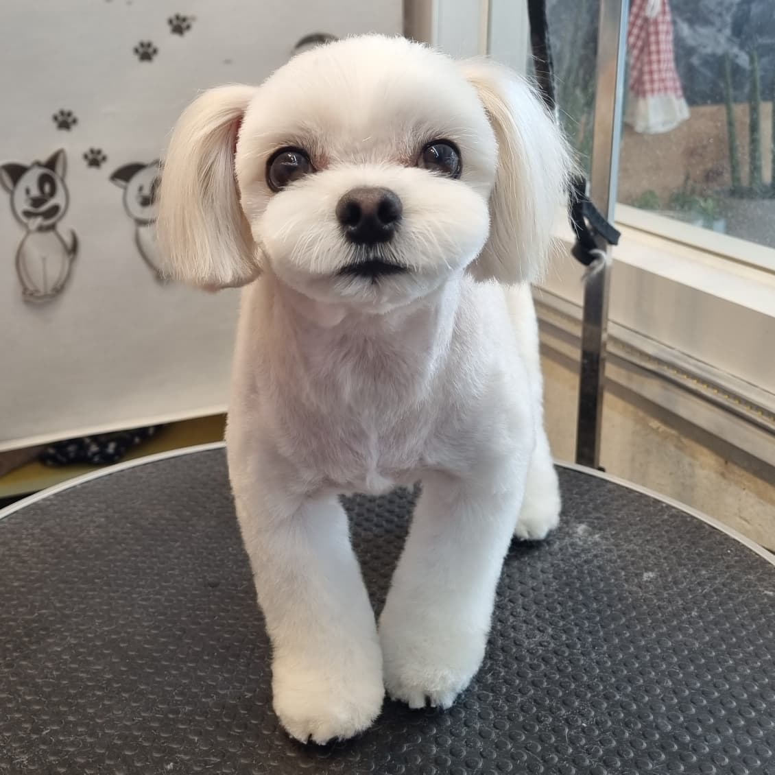 유스타그루밍 대표 이미지