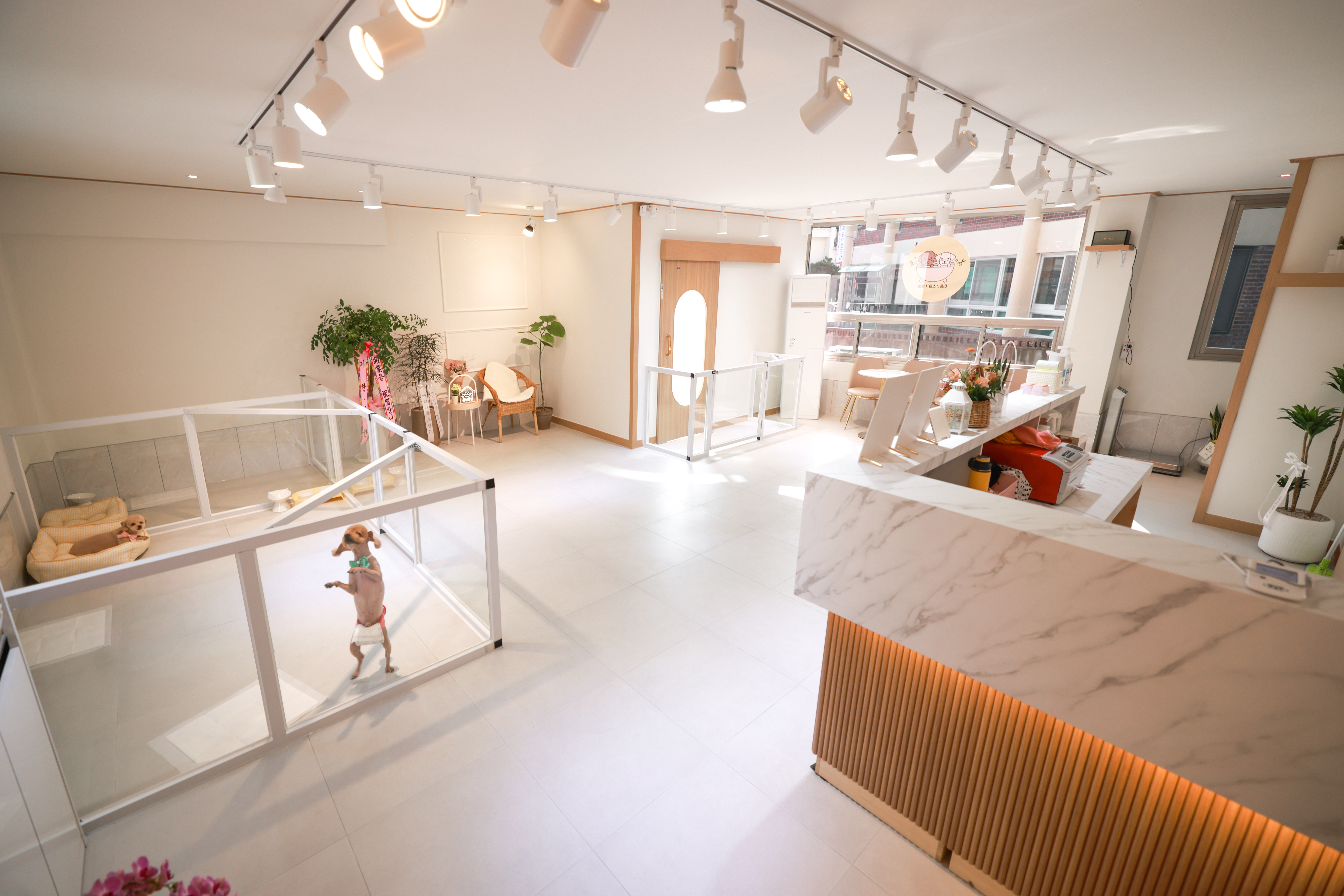 몽실몽실 대표 이미지