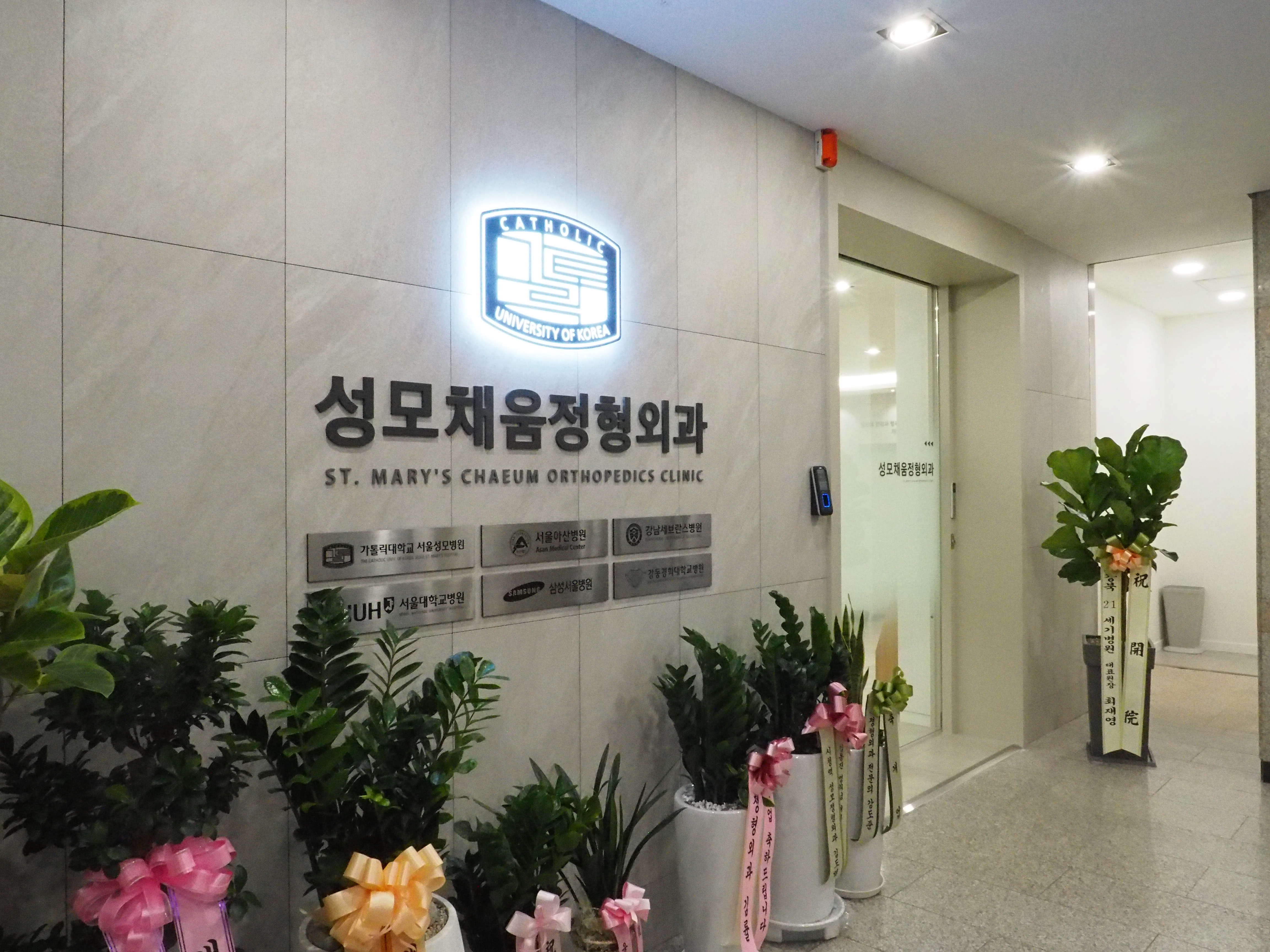 성모채움정형외과의원