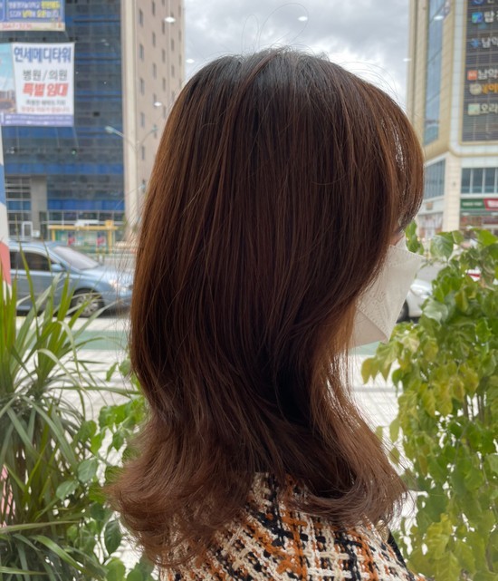아엘헤어