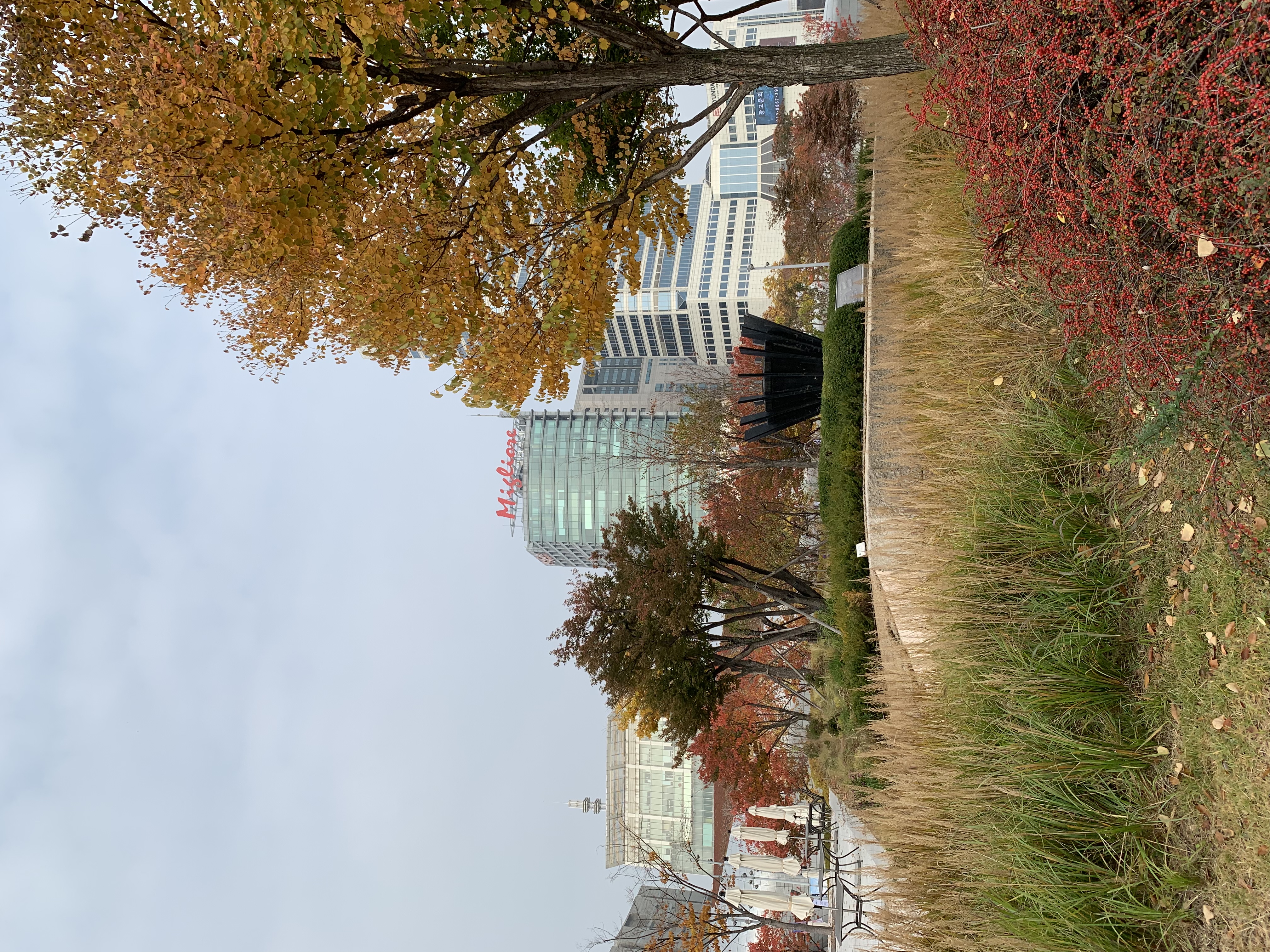 비엘티의원 대표 이미지