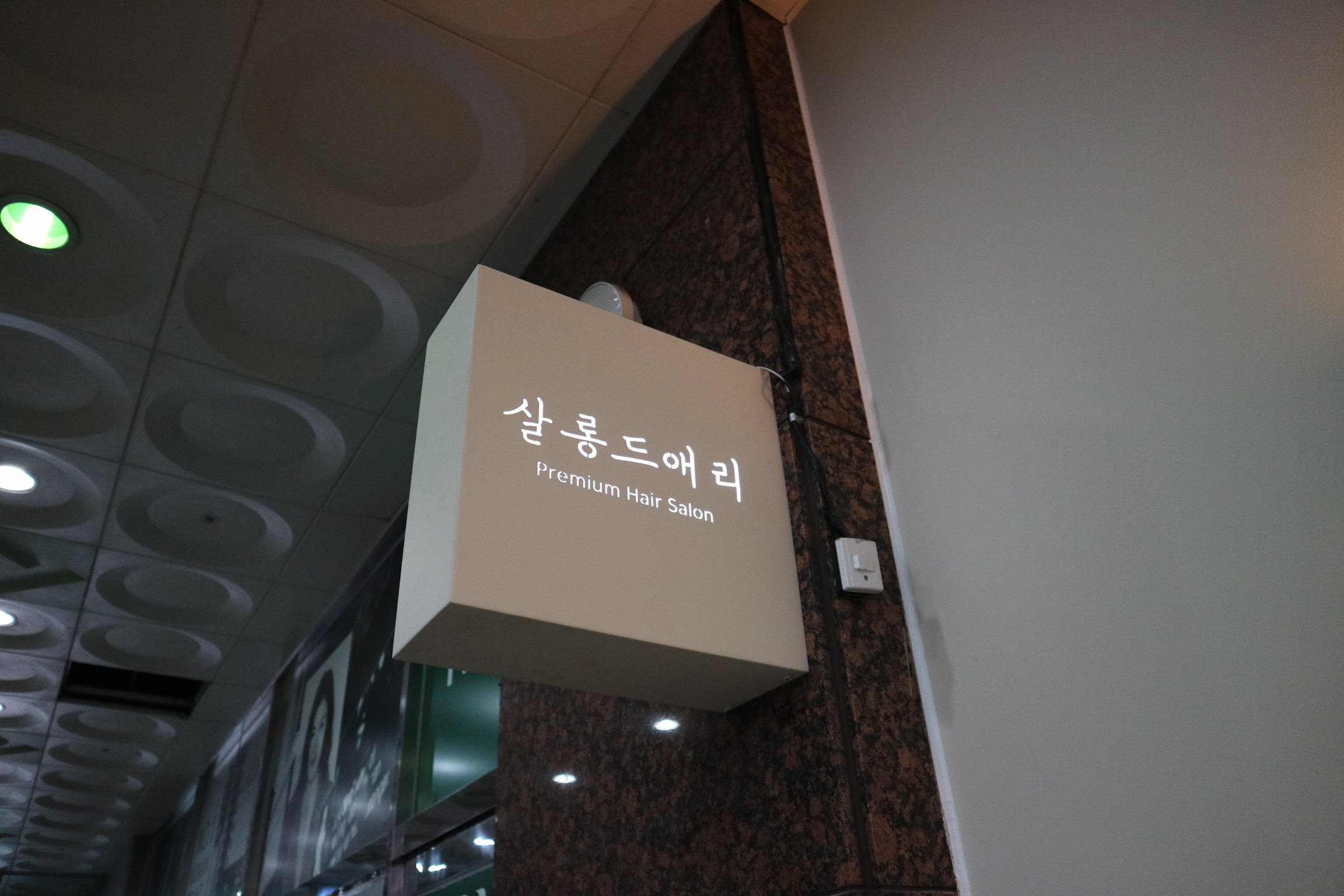 살롱드애리
