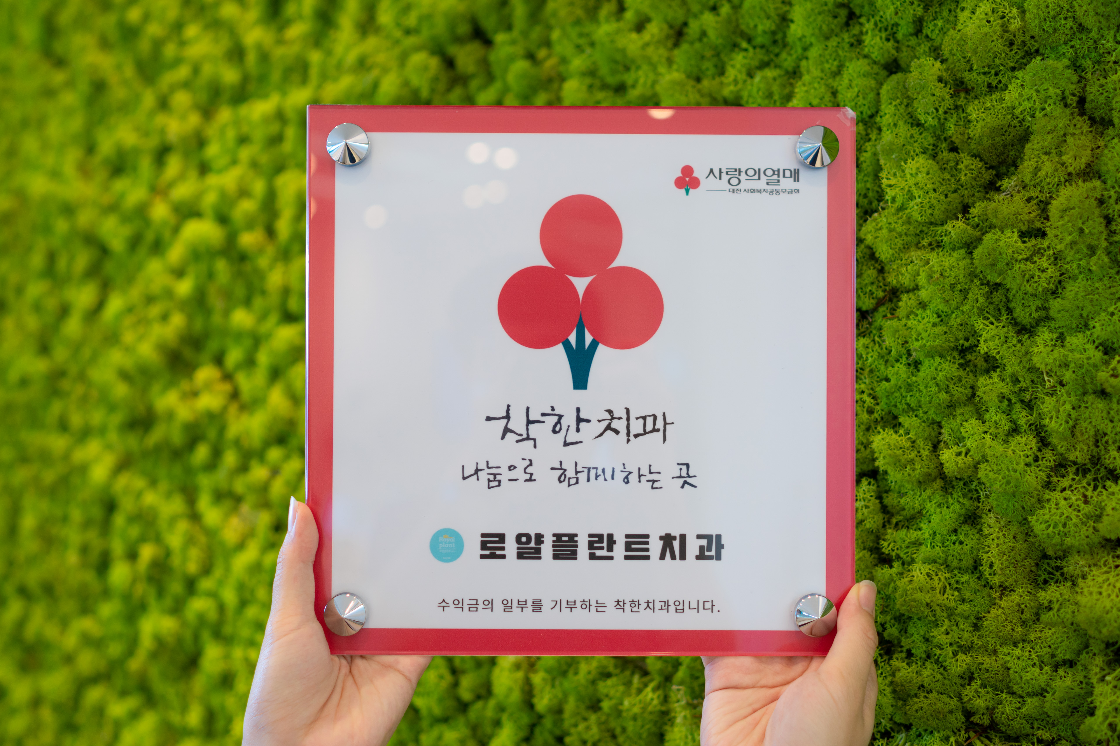 대전로얄플란트치과의원 대표 이미지