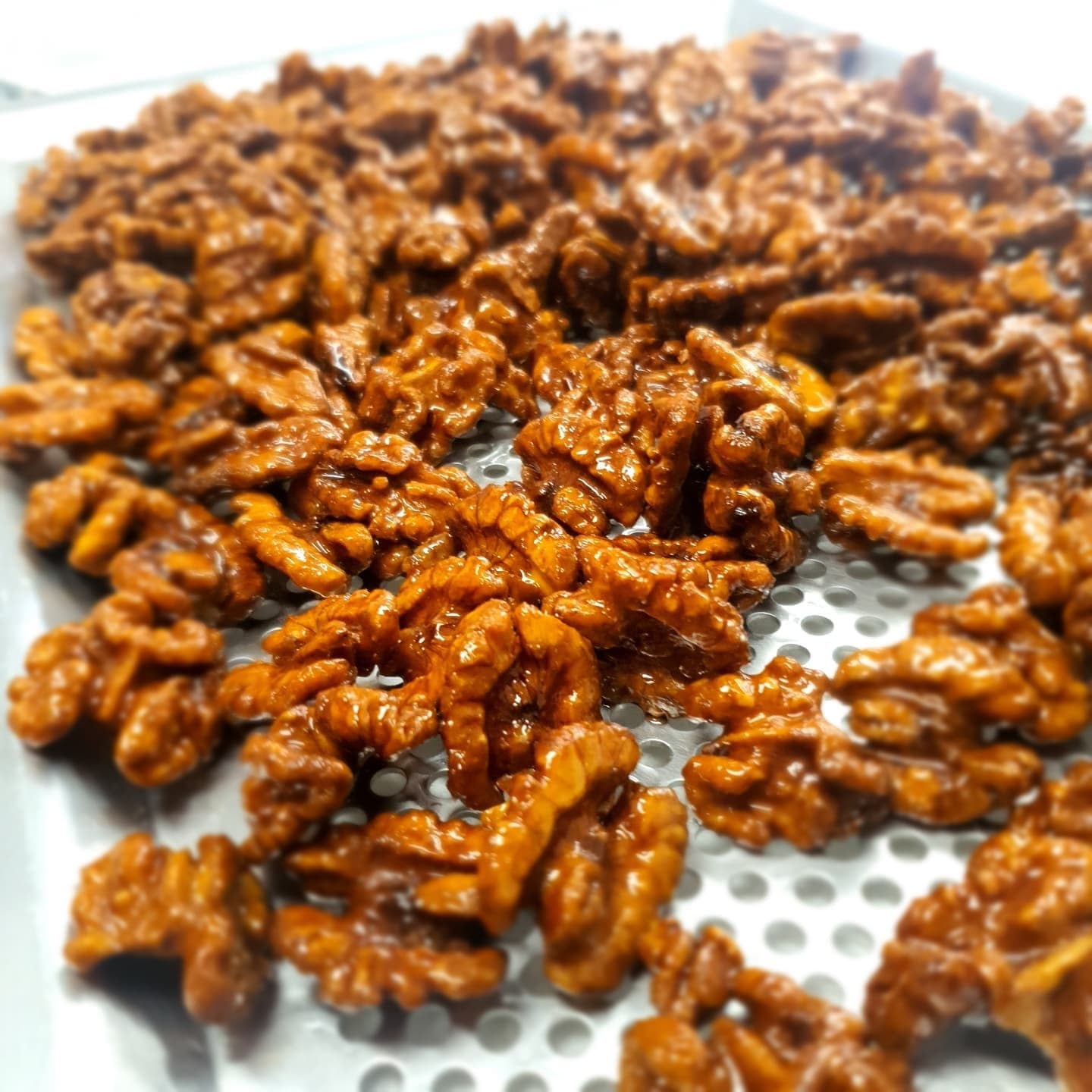 정쿡