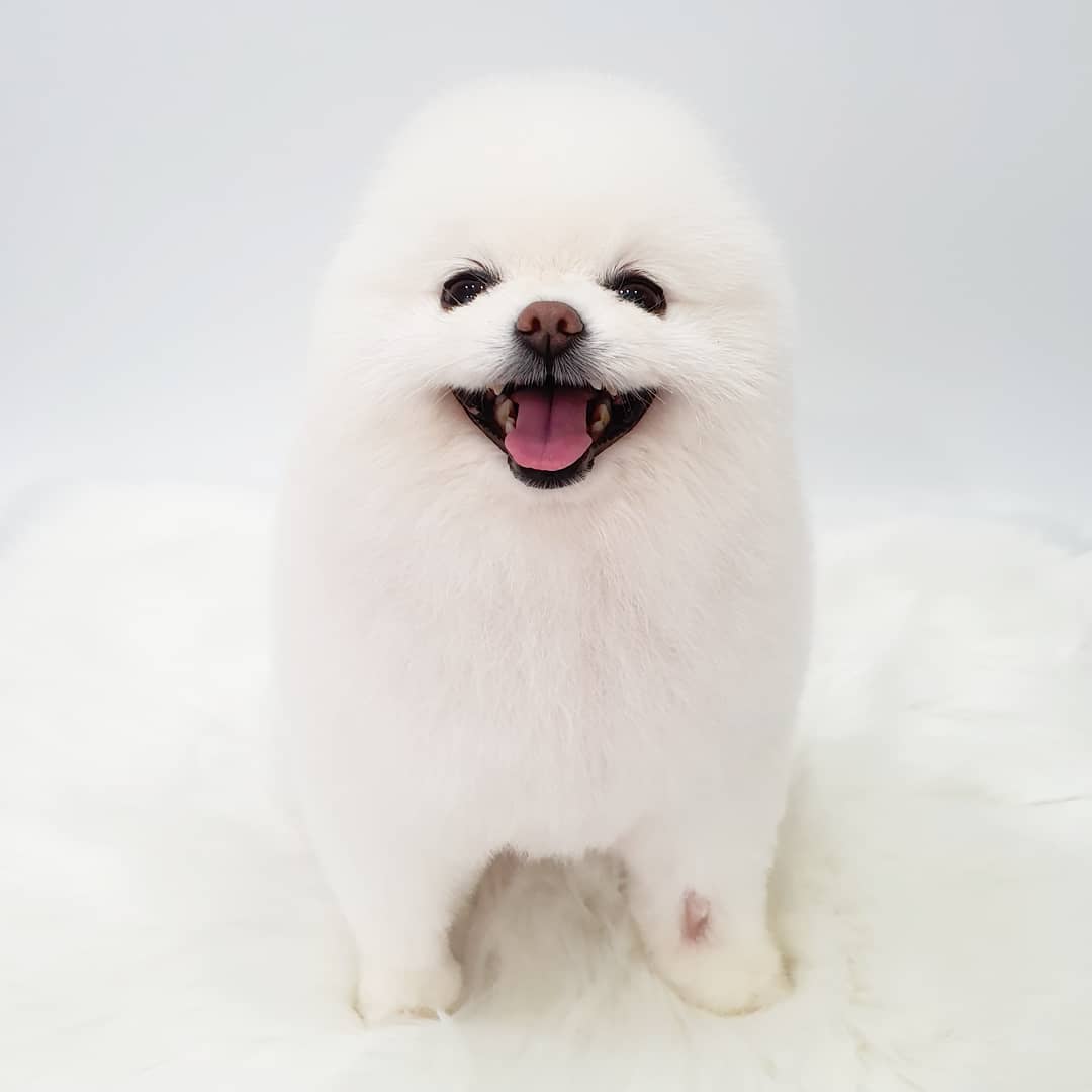 제이그루밍 대표 이미지