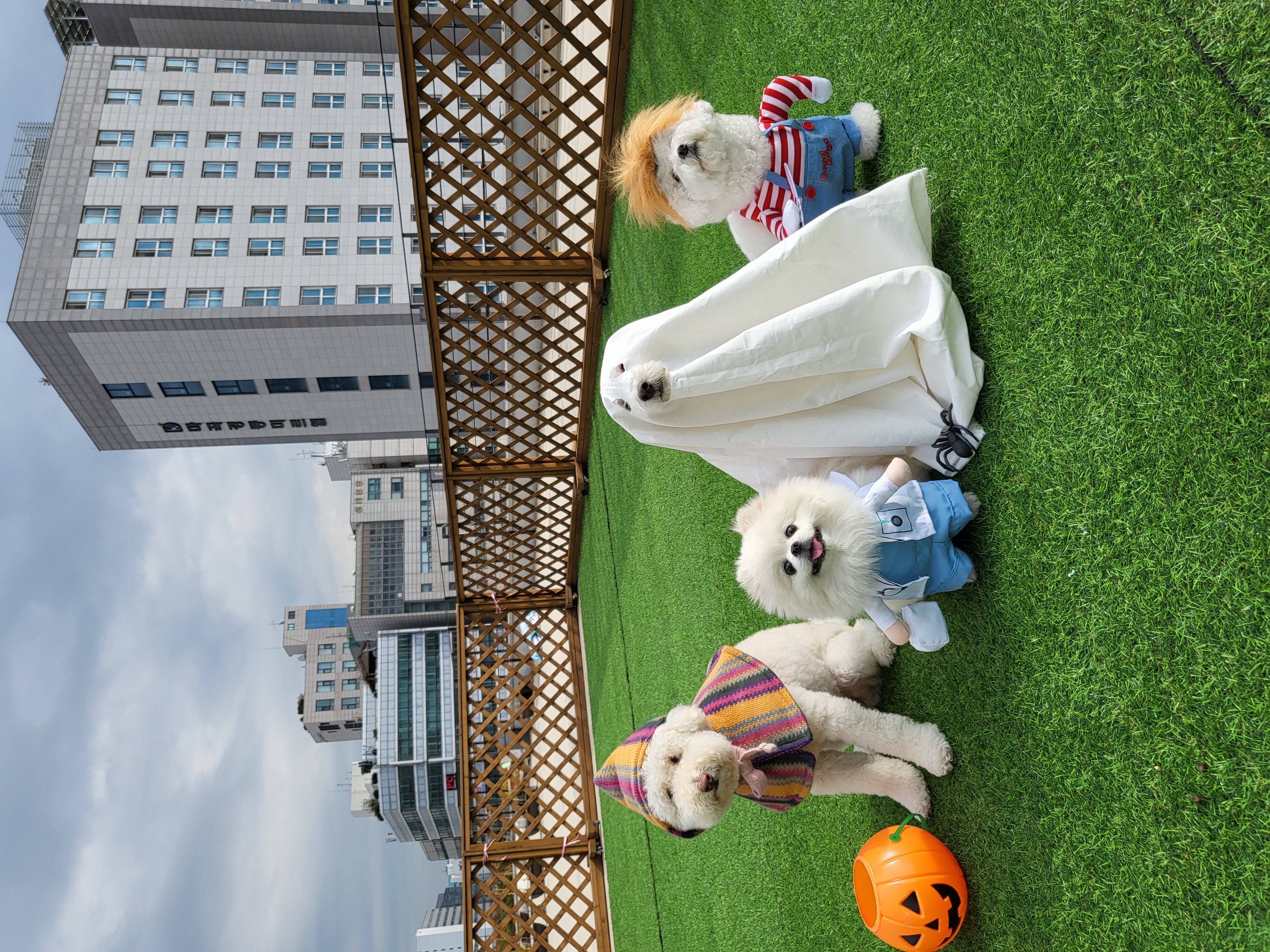 주변 가볼만한 곳