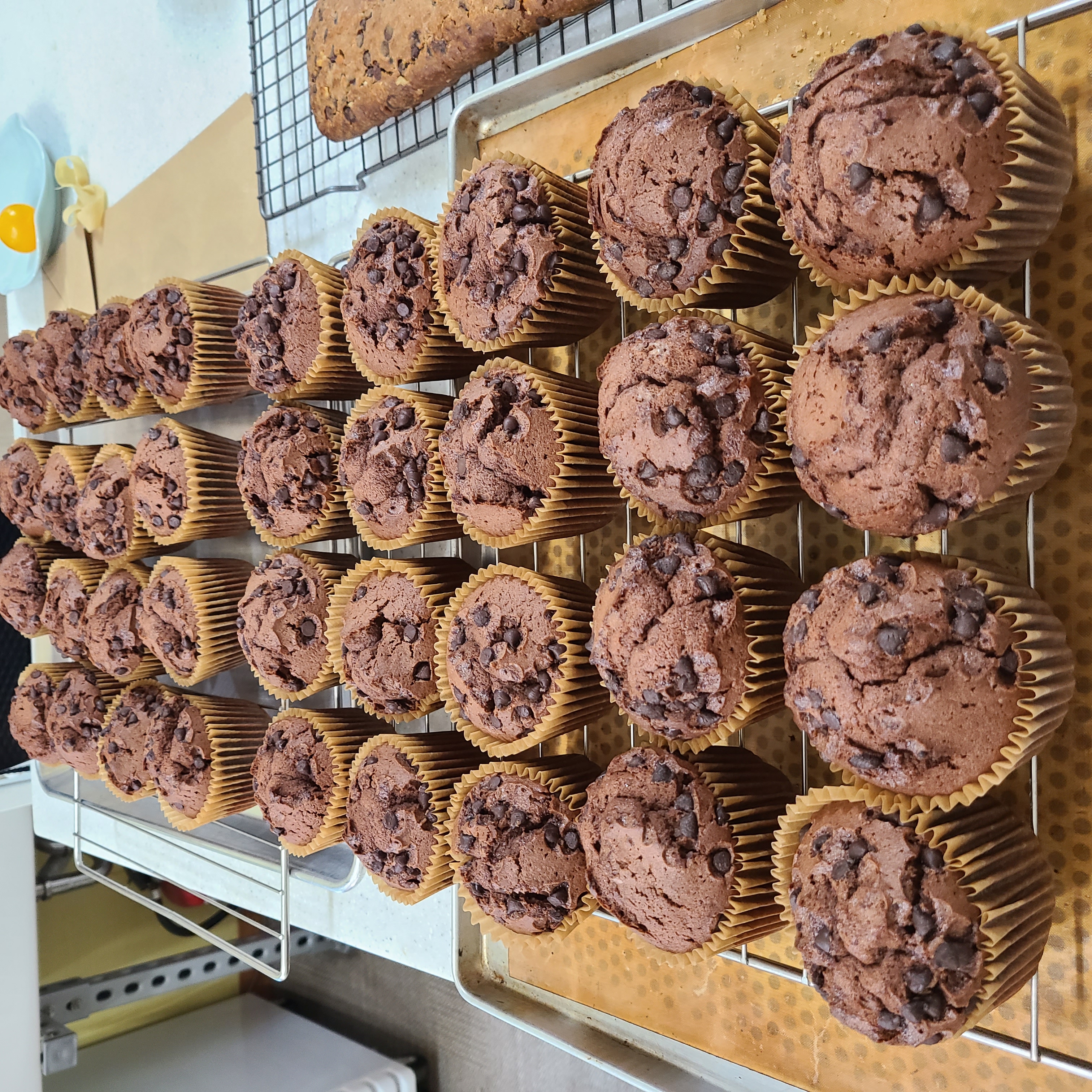 꿈꾸는다락빵
