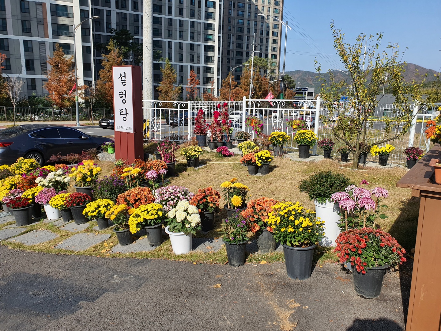 홍대설렁탕