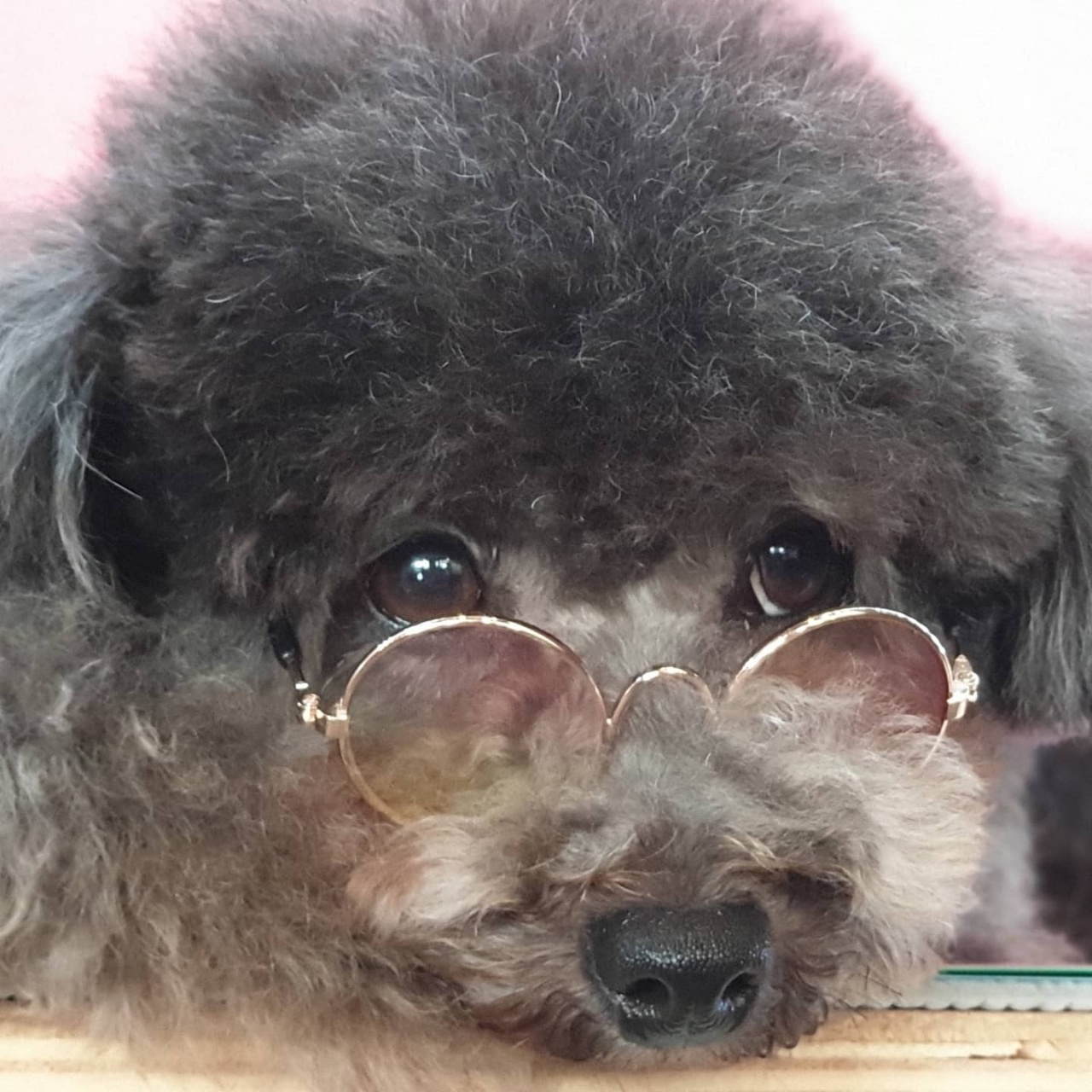 이미지