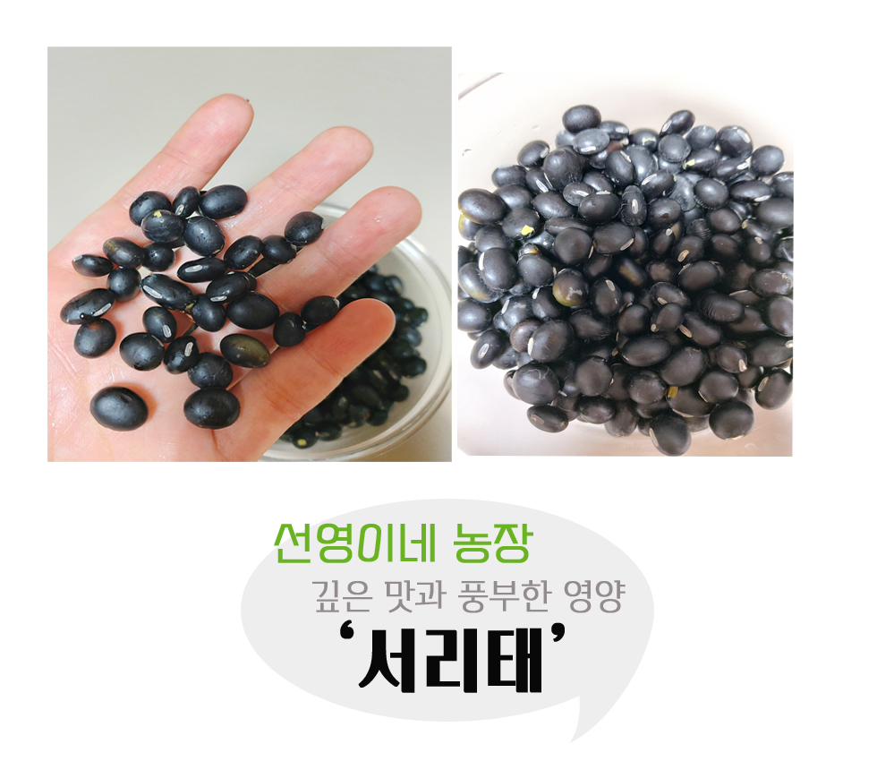 선영이네 농장