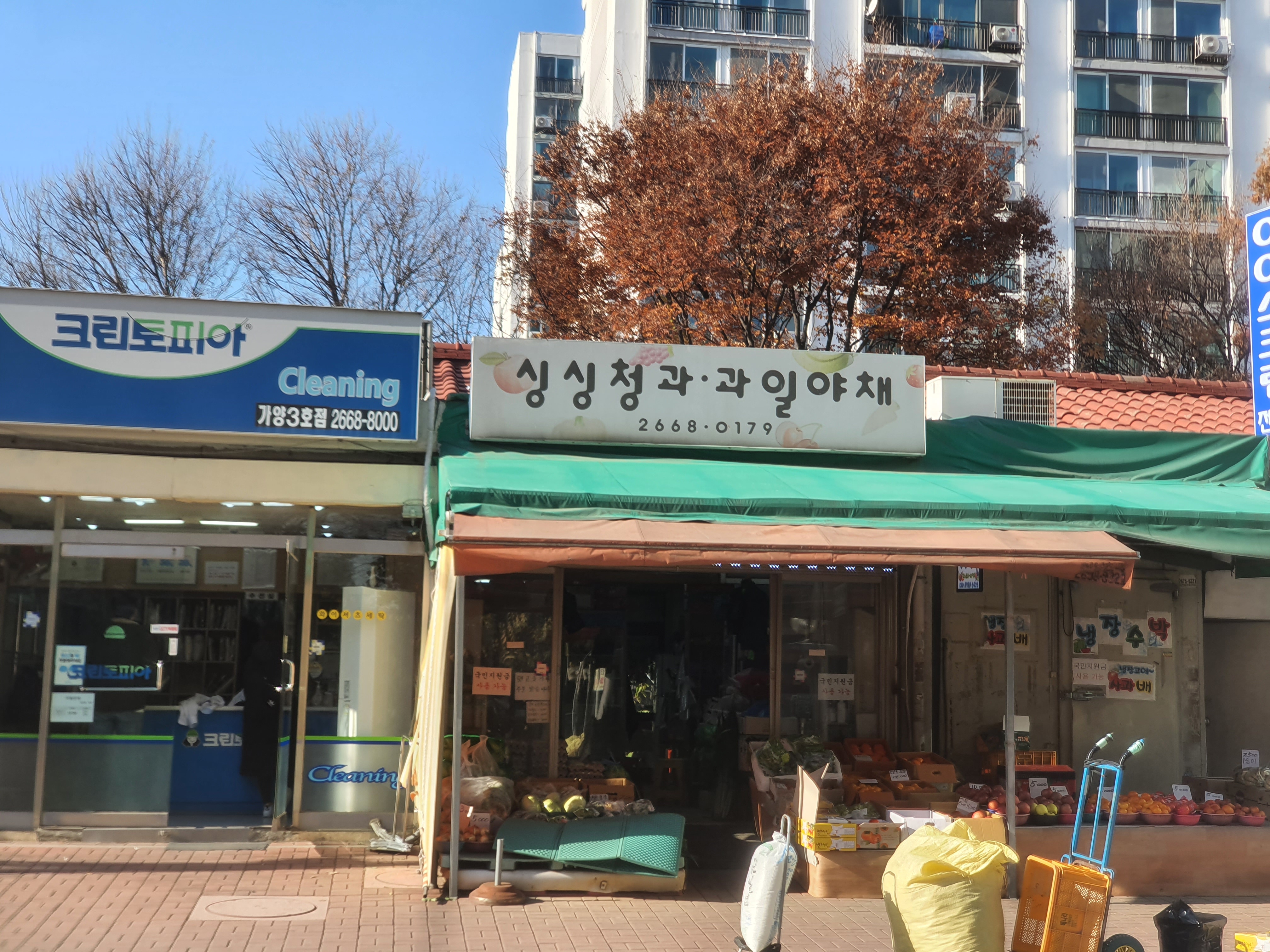 싱싱청과