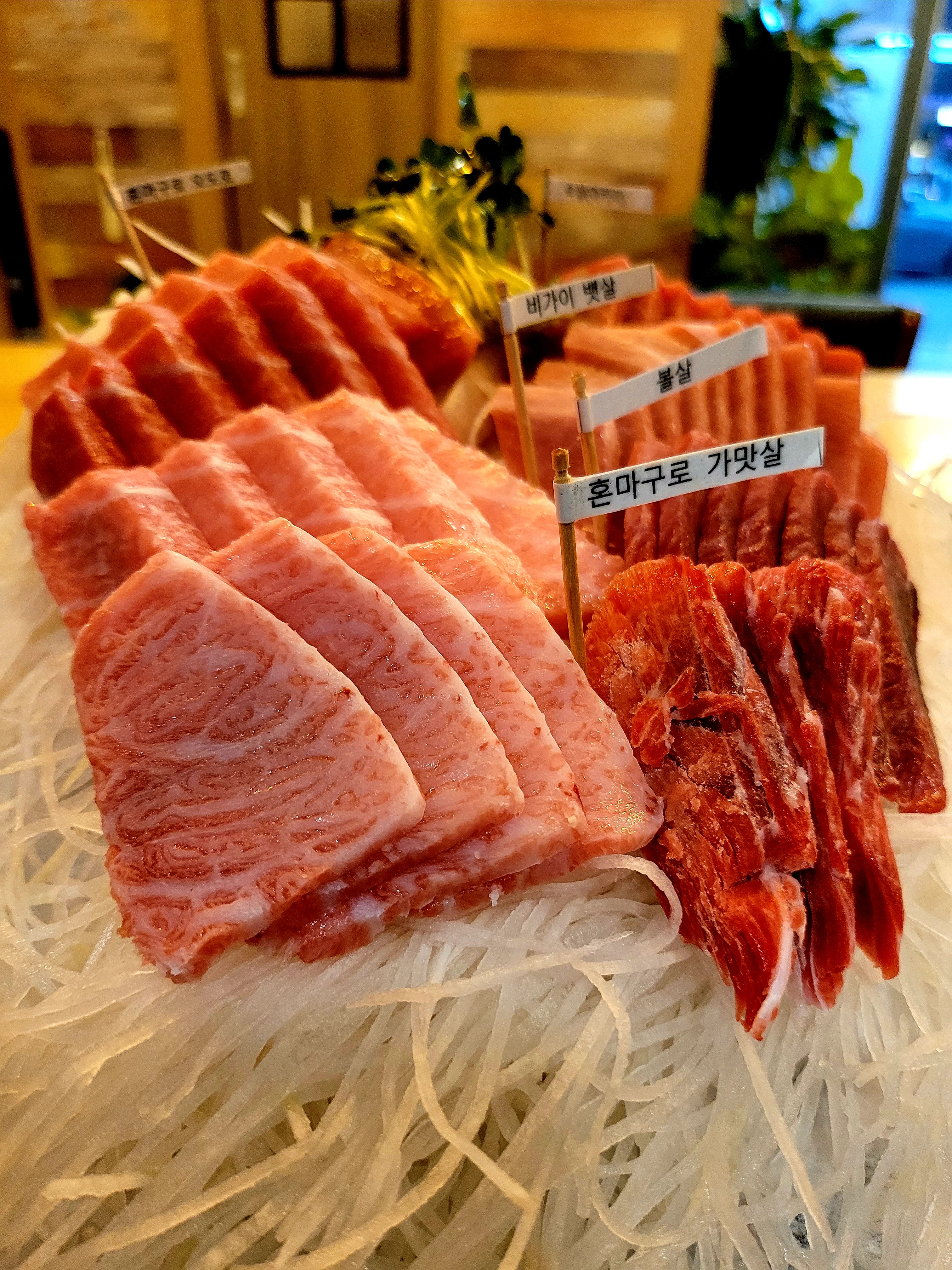 김종우참치
