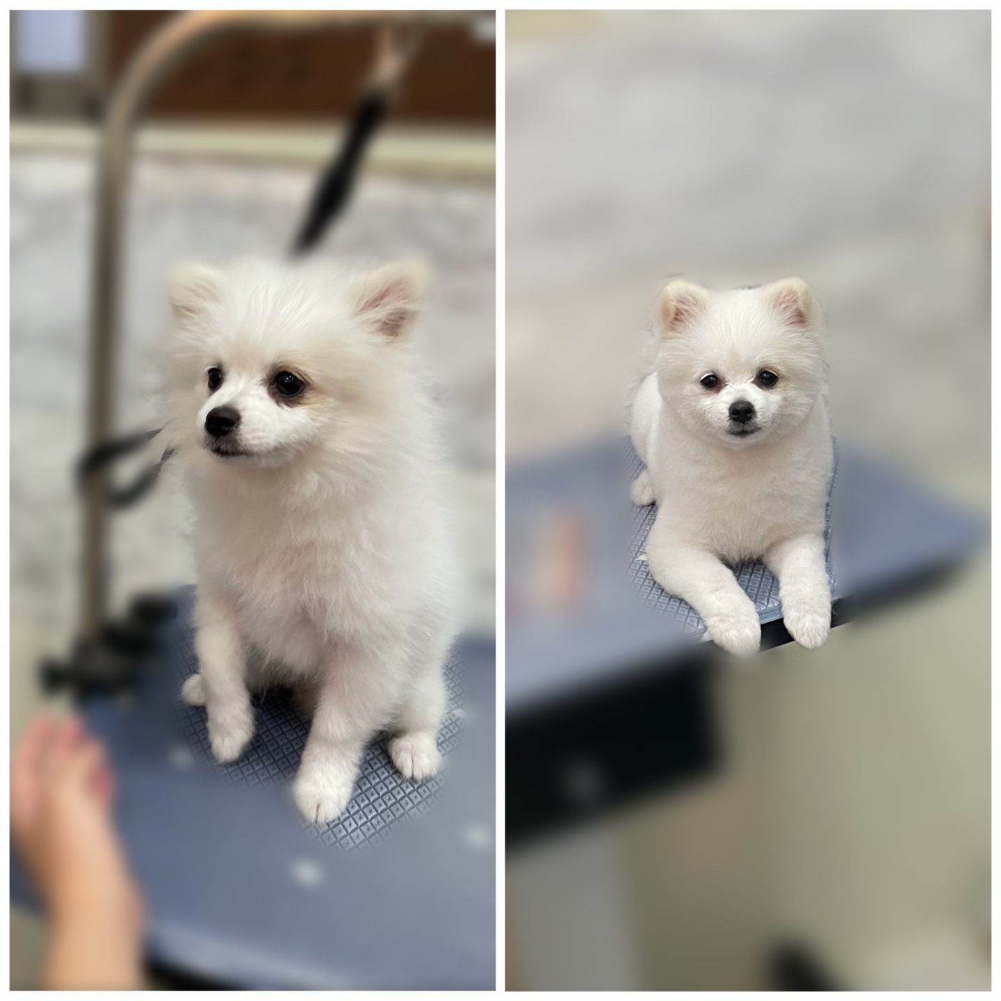 멍스타일 대표 이미지