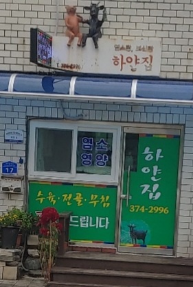 하얀집