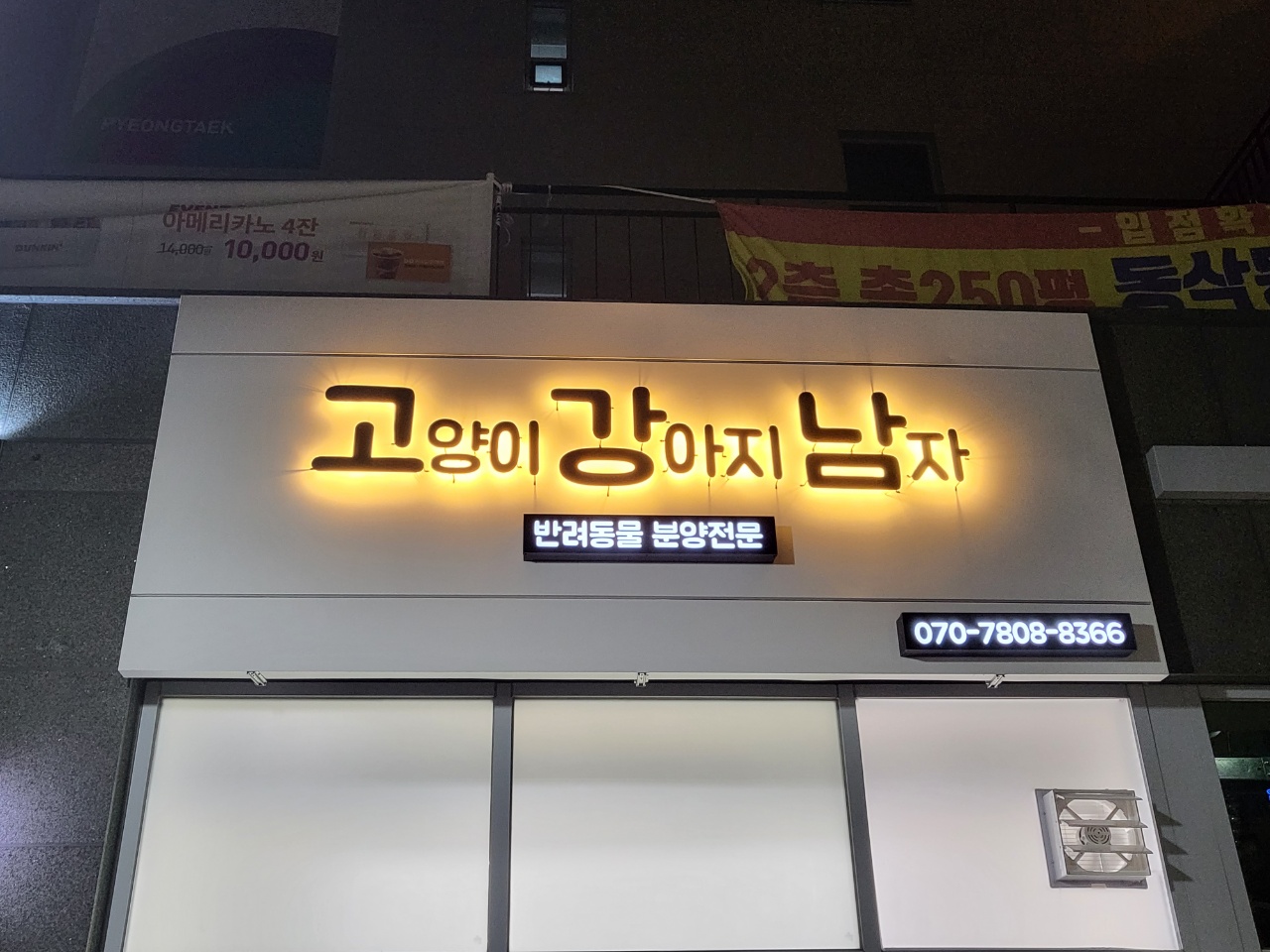 고강남