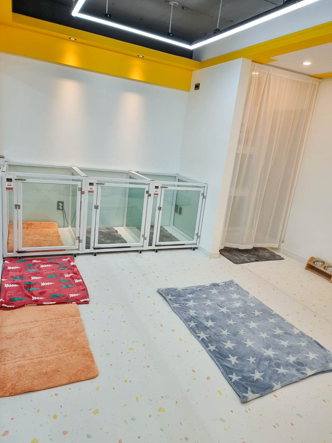 클래시독스 대표 이미지