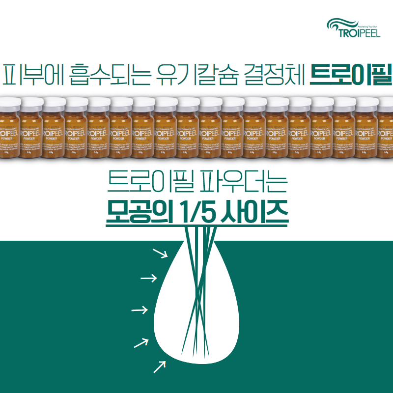 애리쉬 뷰티모델링스쿨 대표 이미지