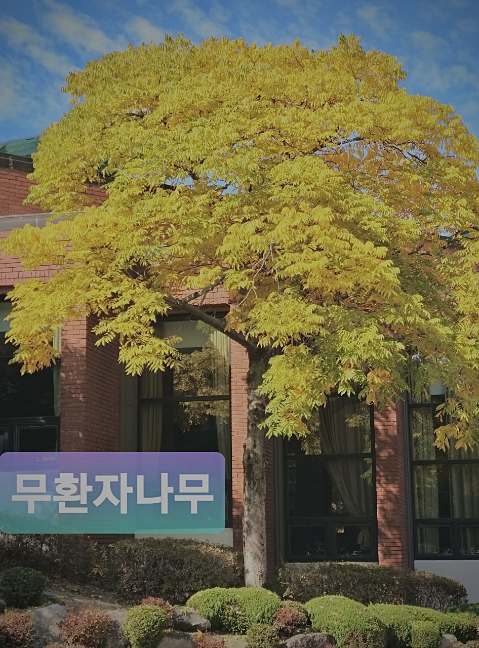 포레조경나무병원