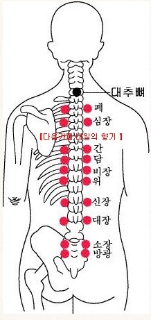 몸사랑마사지 photo 3