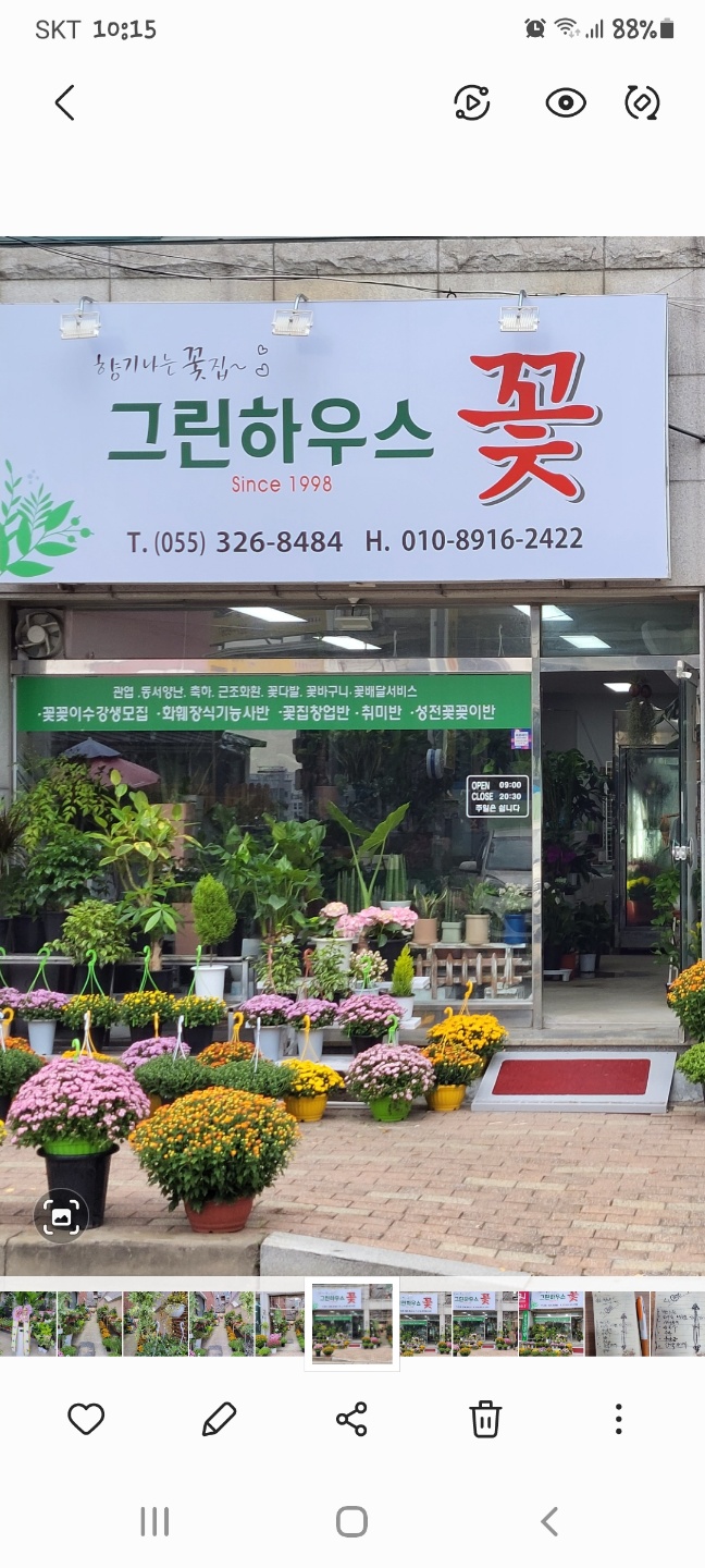 그린하우스