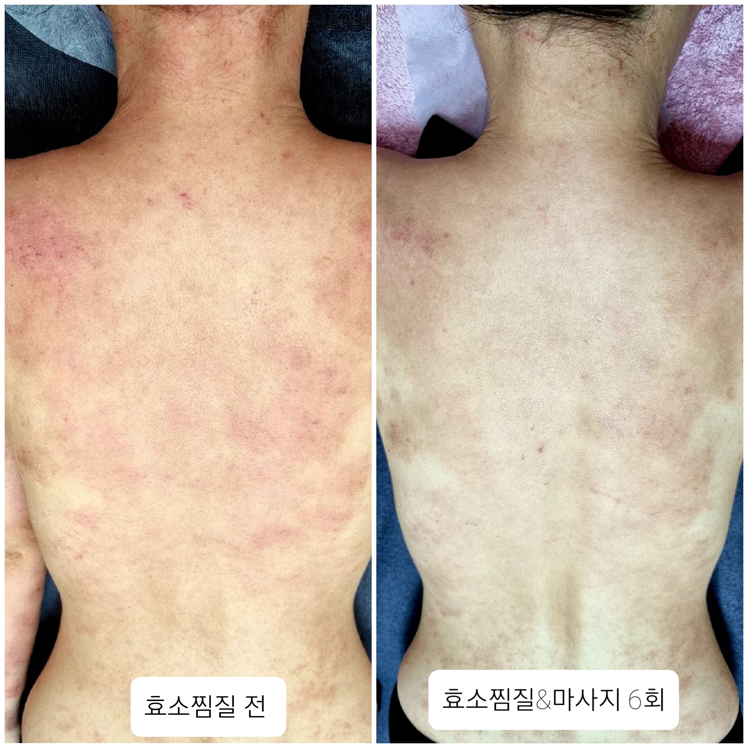 금화효소원