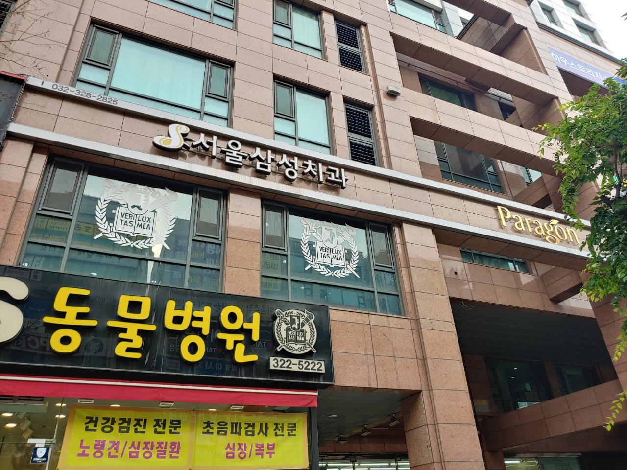 서울삼성치과의원 대표 이미지