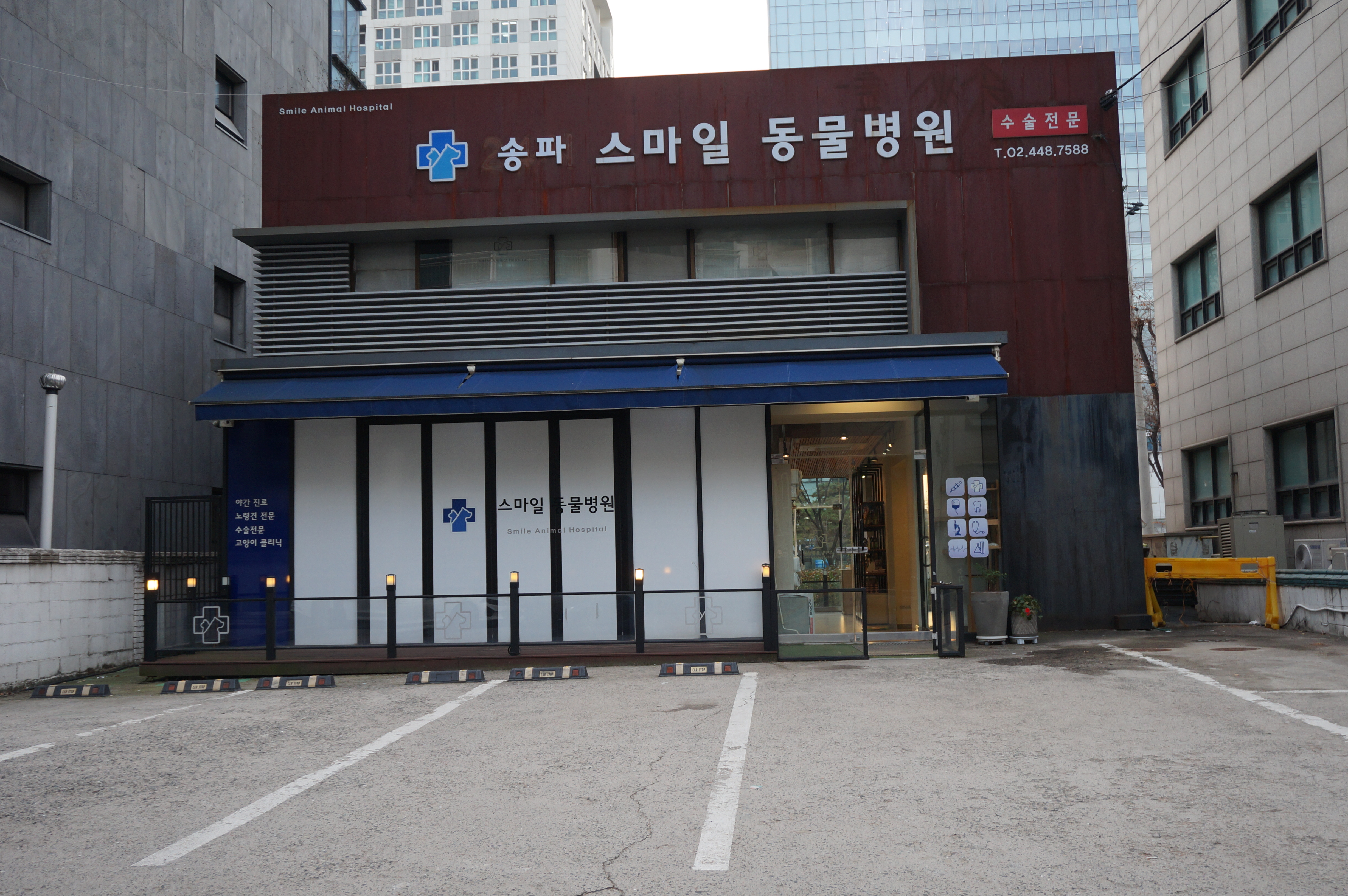 송파스마일동물병원 대표 이미지