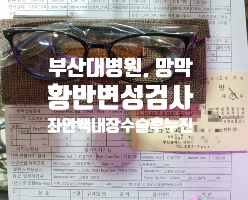 표가네안경원 본점