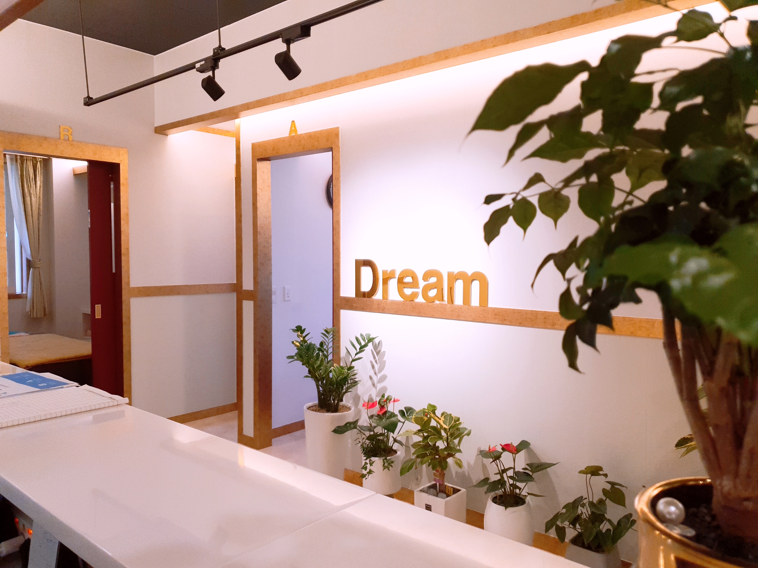 드림아로마 photo 3