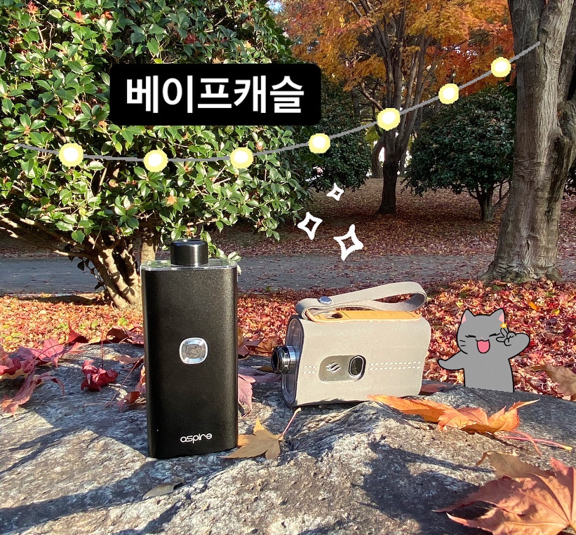 울산전자담배 베이프캐슬