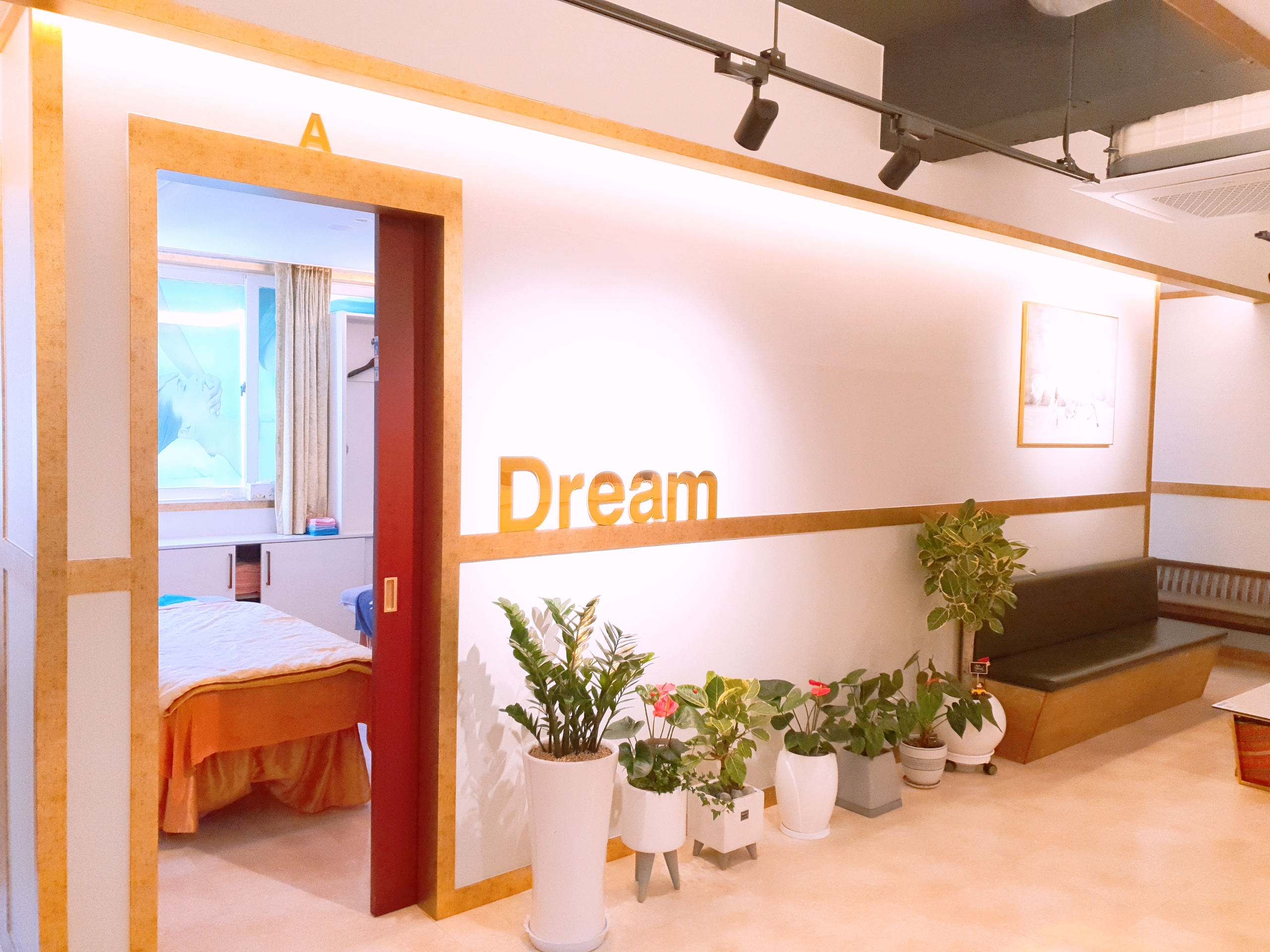 드림아로마