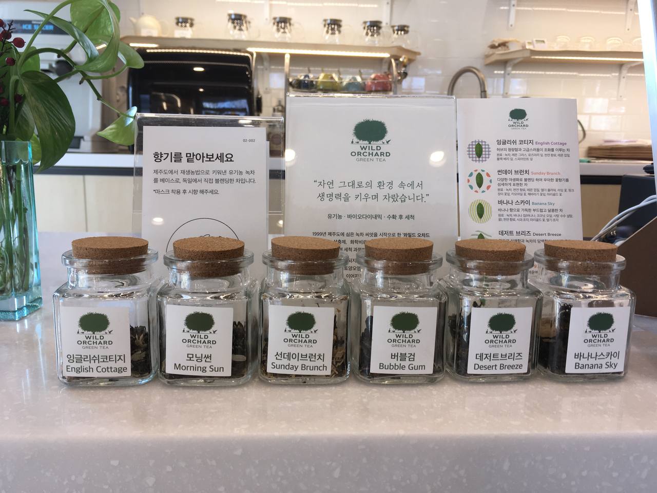 시즌글라스 칠곡점