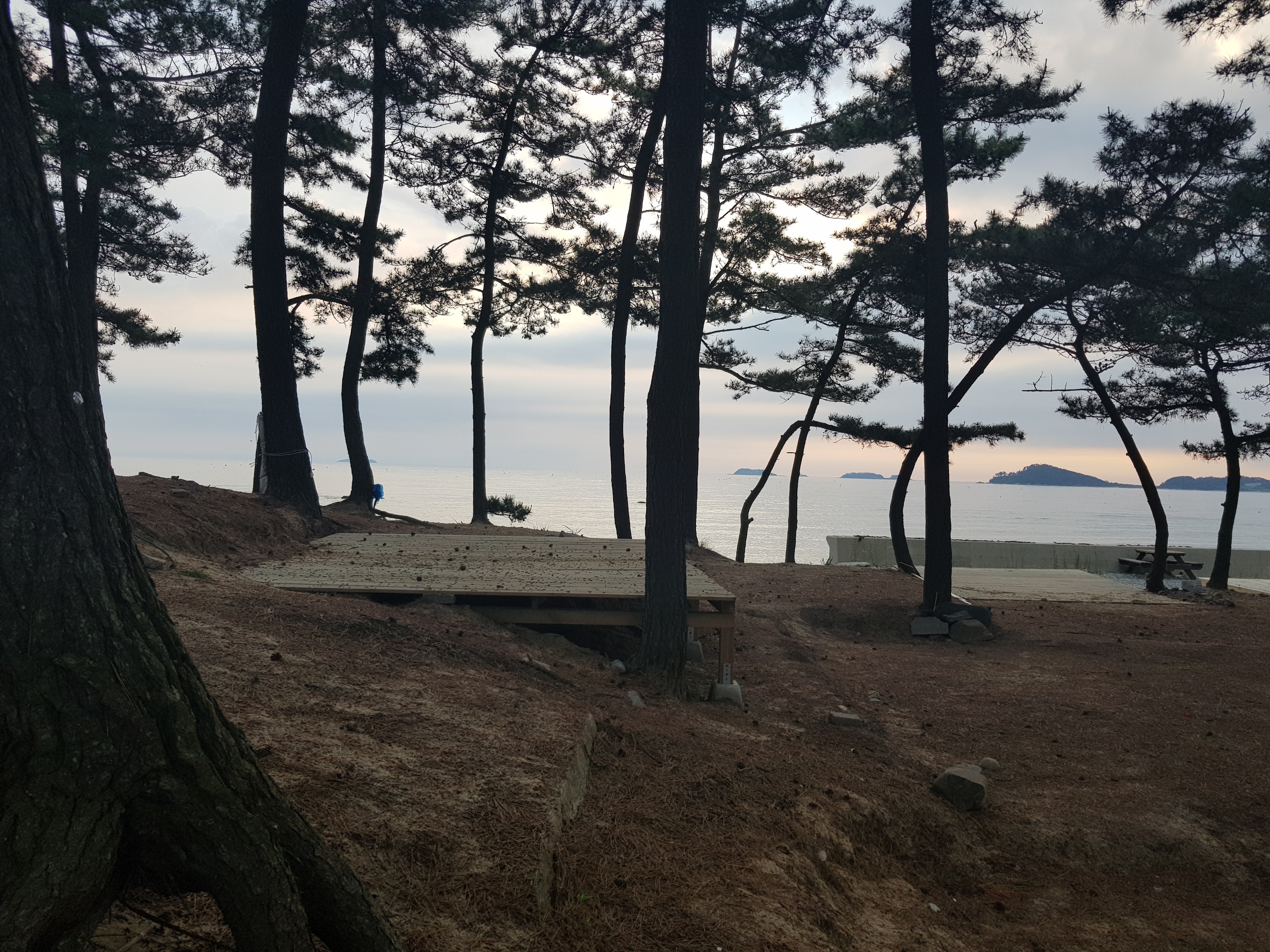 곰섬킹콩솔숲캠핑장