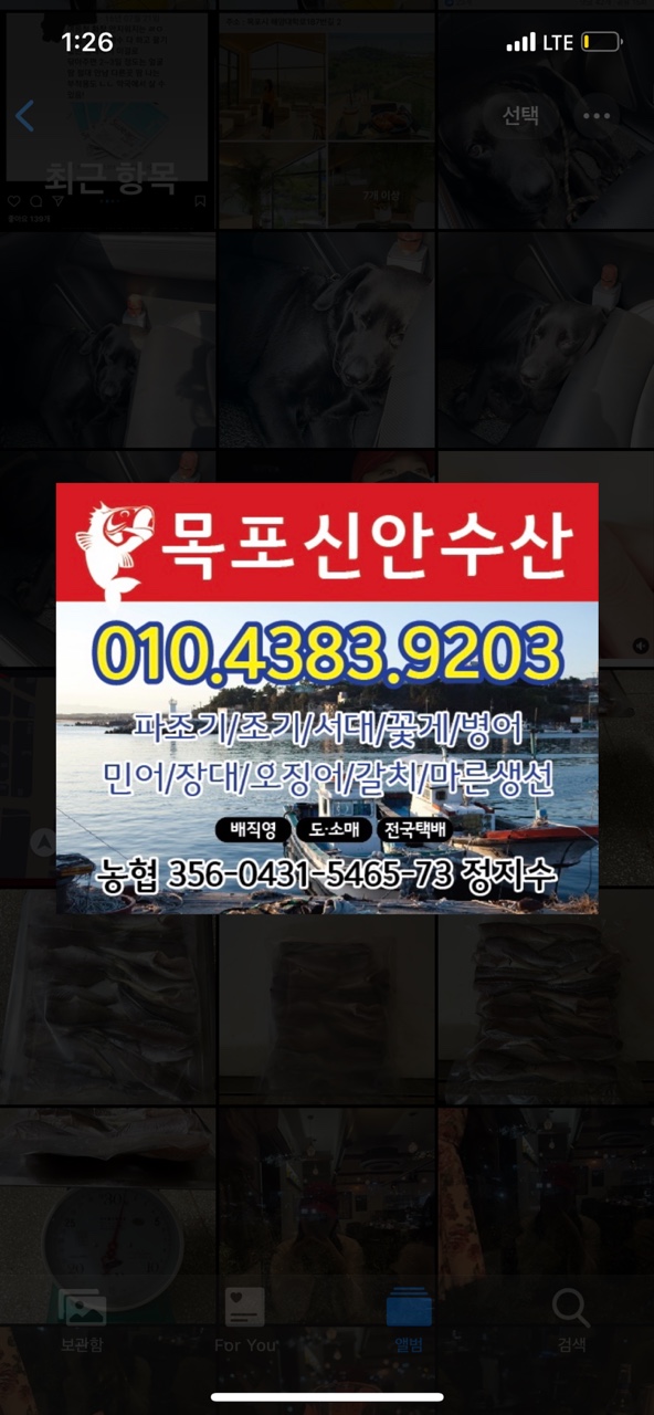 목포신안수산
