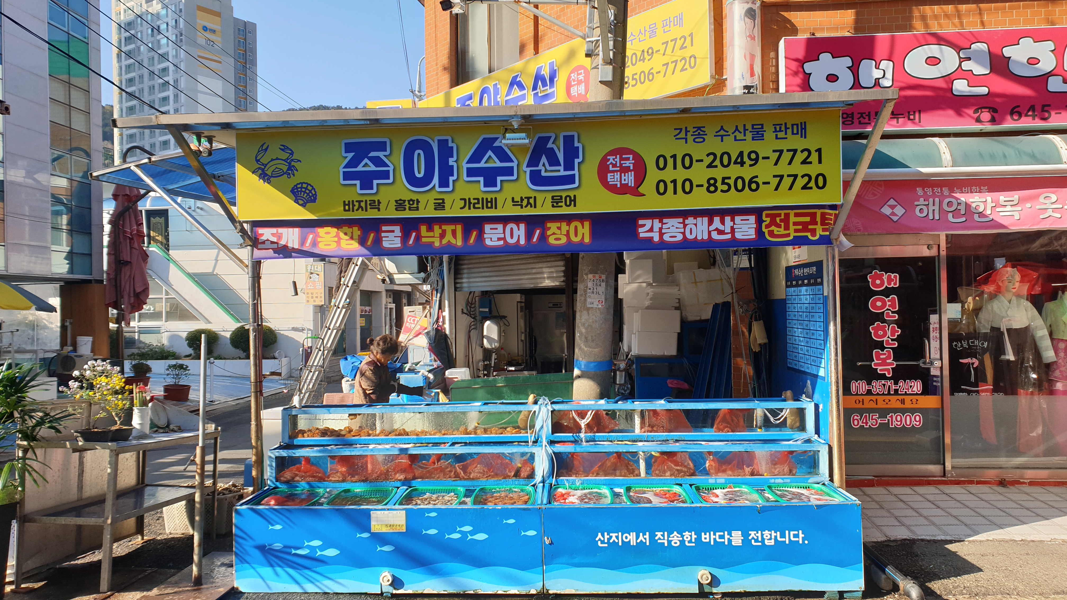 주야수산
