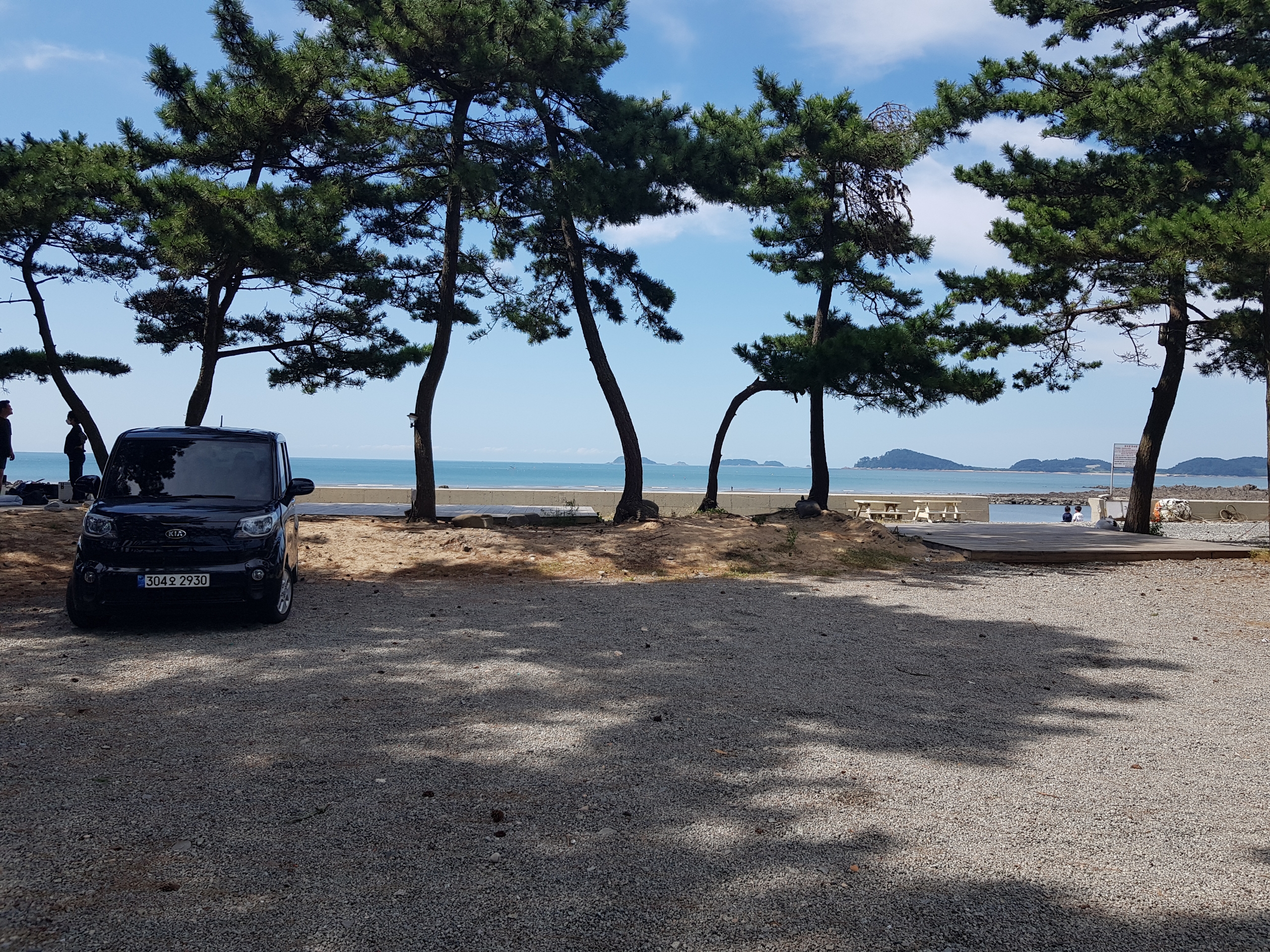 곰섬킹콩솔숲캠핑장
