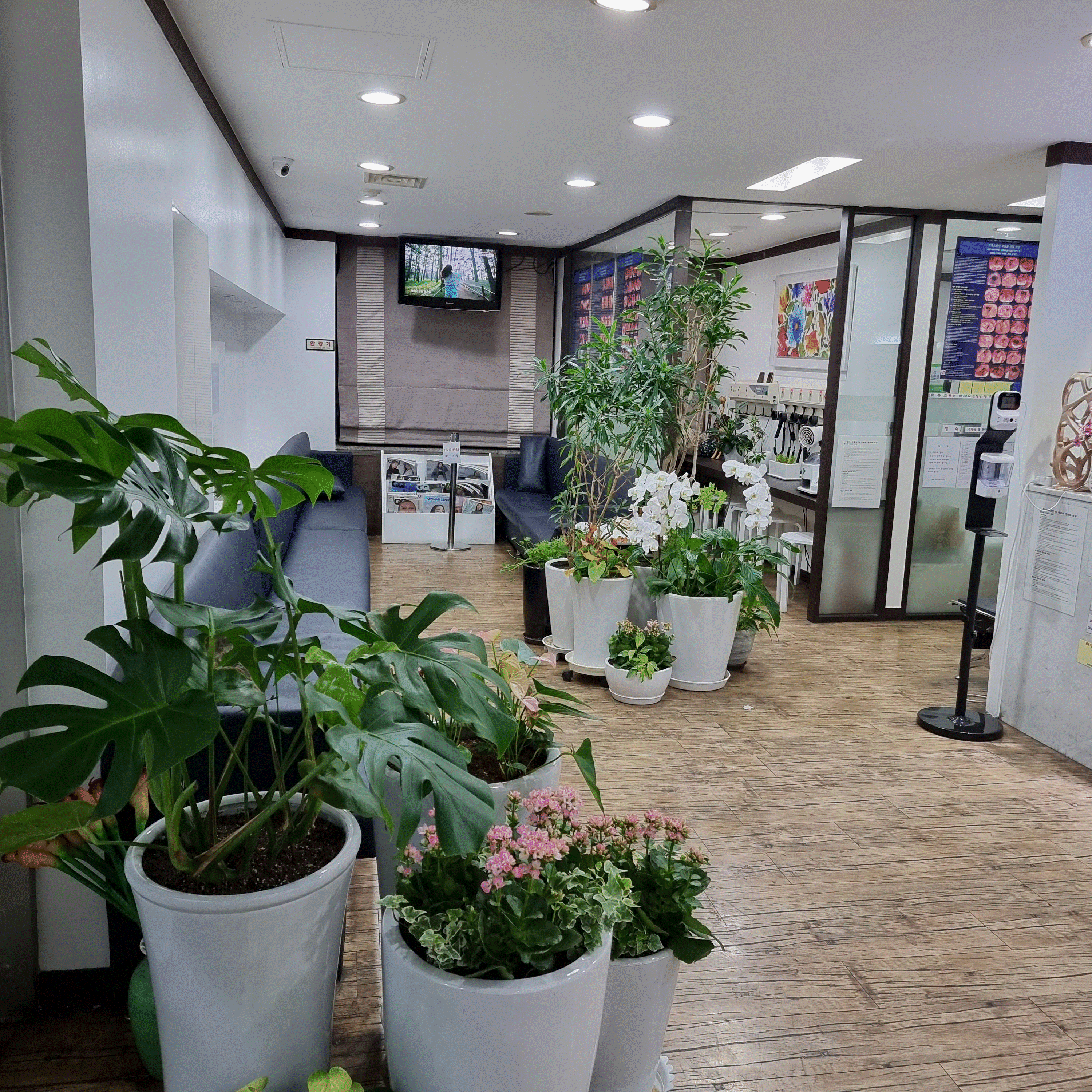 관악이비인후과의원 대표 이미지