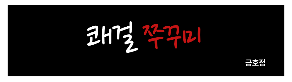 쾌걸쭈꾸미