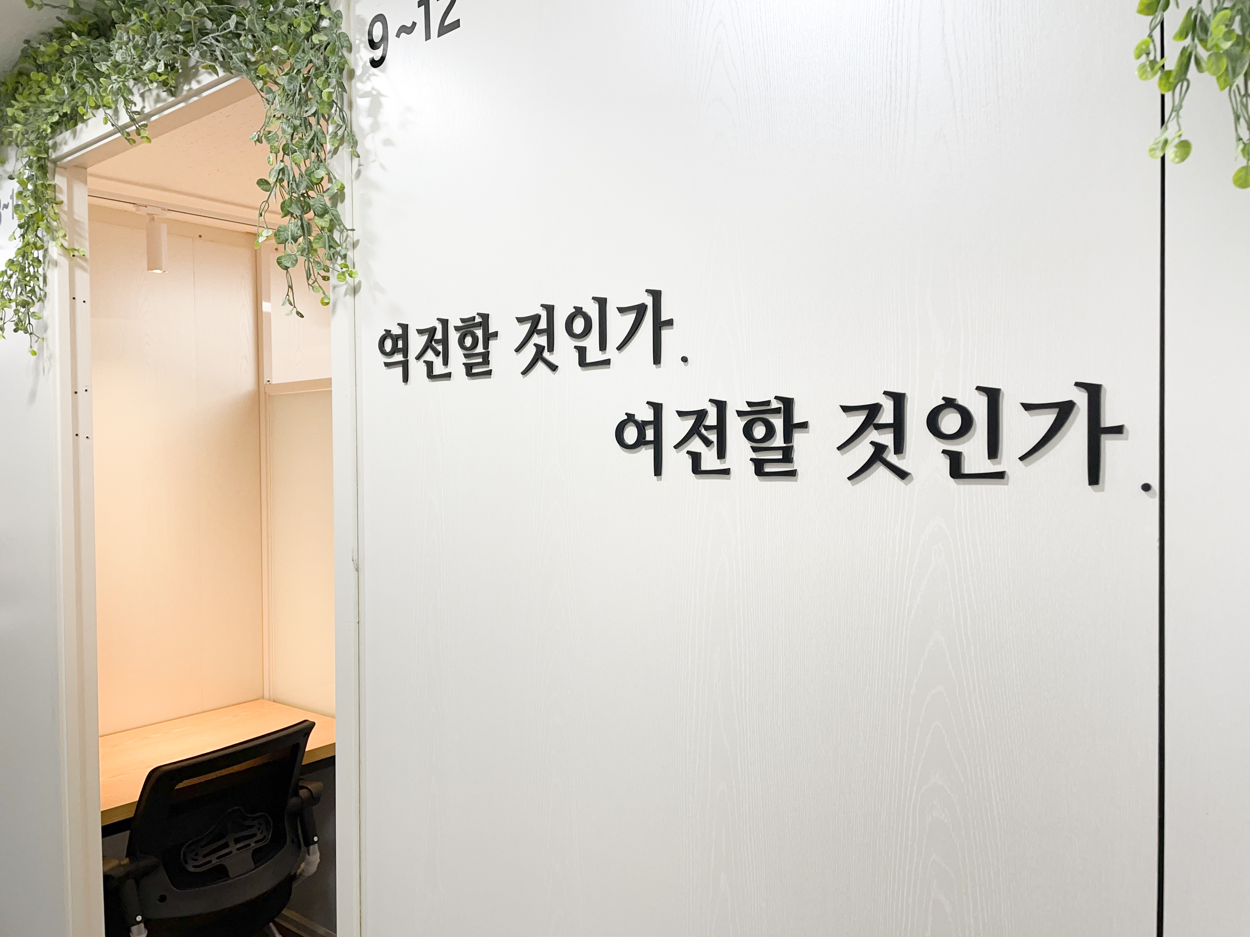 업체사진