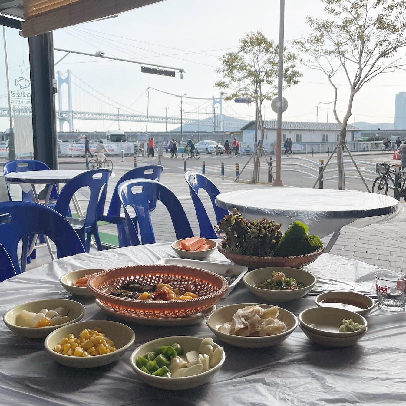 왔다회초장